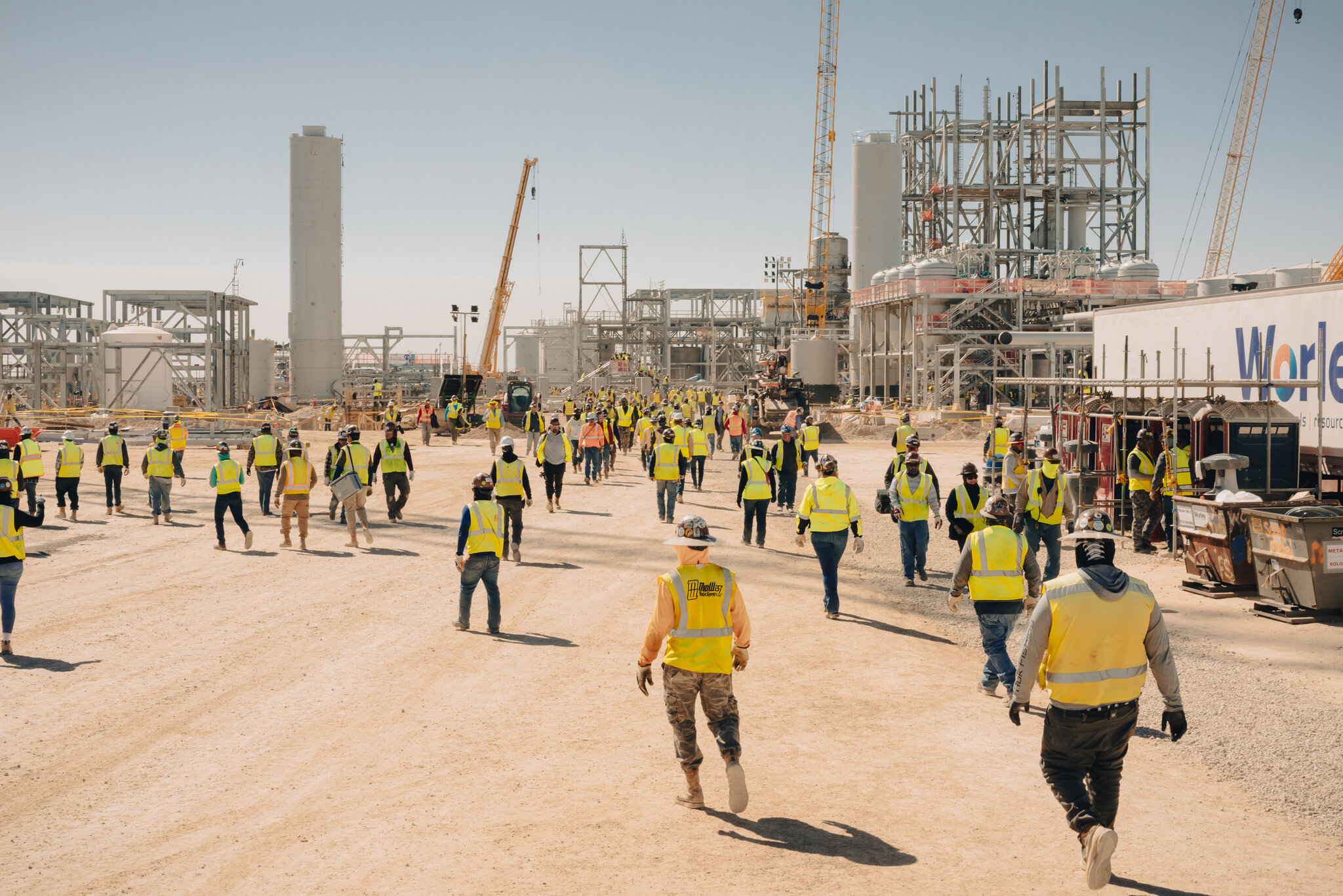 Carbon Removal Industry Reels as Microsoft Retreats