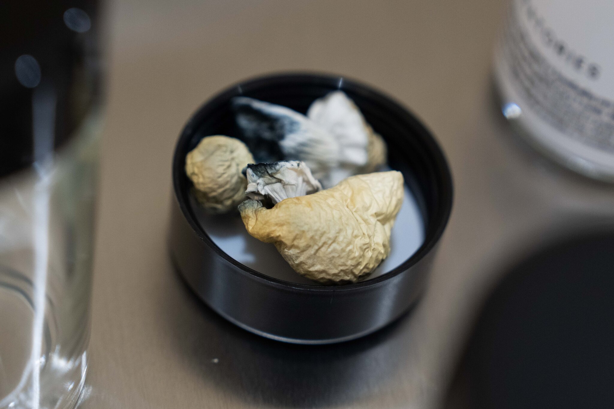 Trump Loosens Restrictions on Psychedelic Drugs