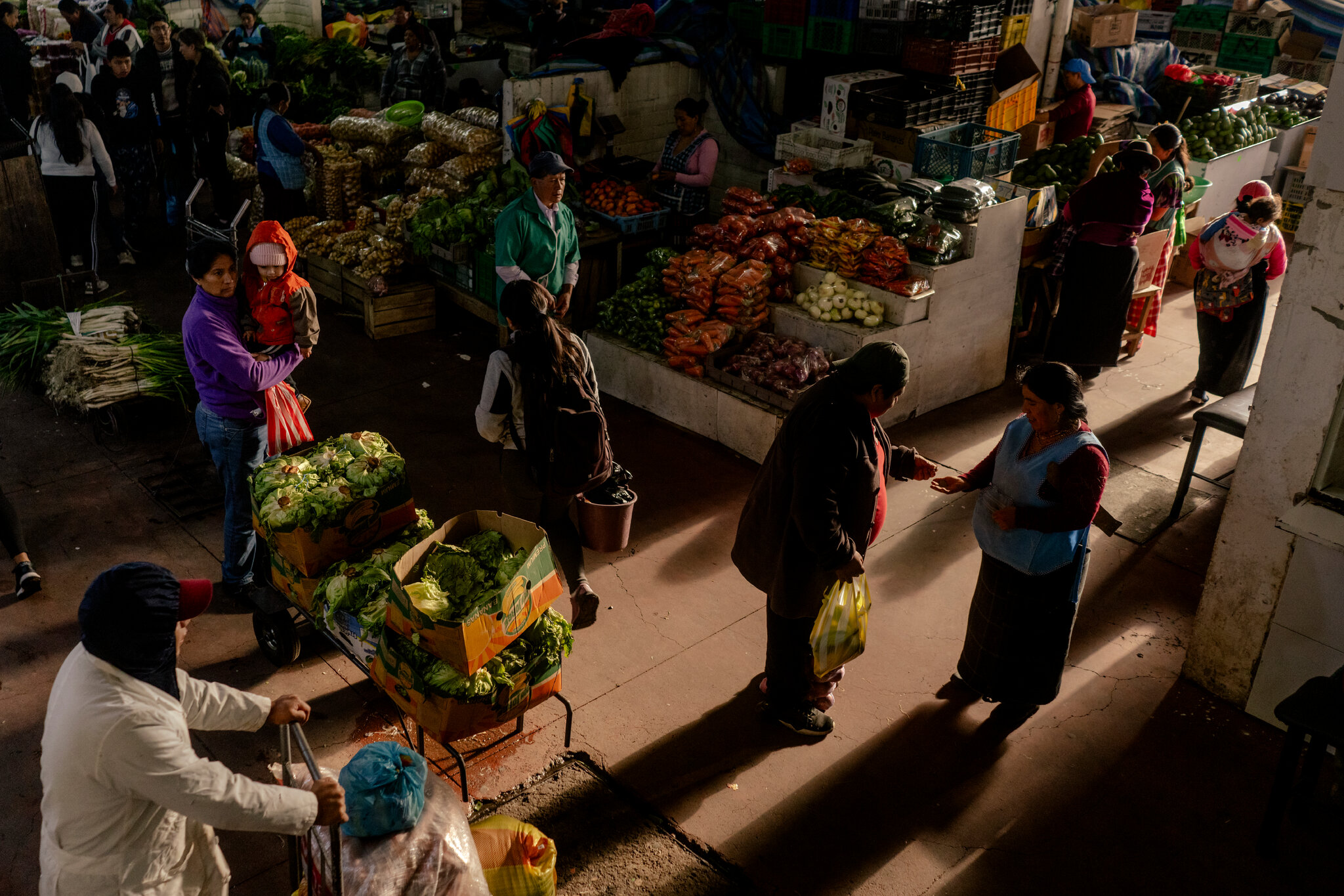 The Sweet Tongue: How Ecuador’s Andes Created a Language of Its Own