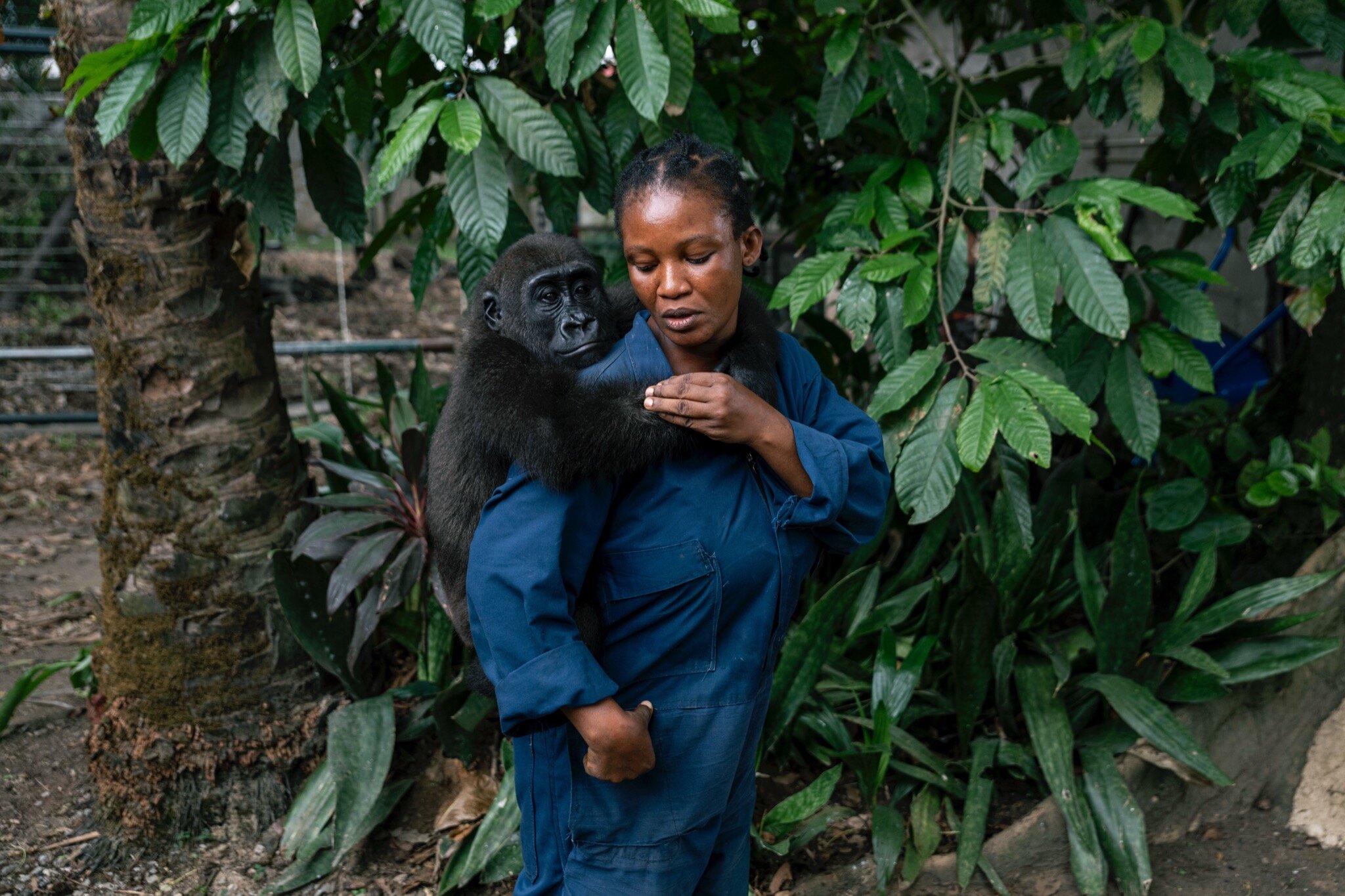 The Race to Stop Wildlife Trafficking in Africa