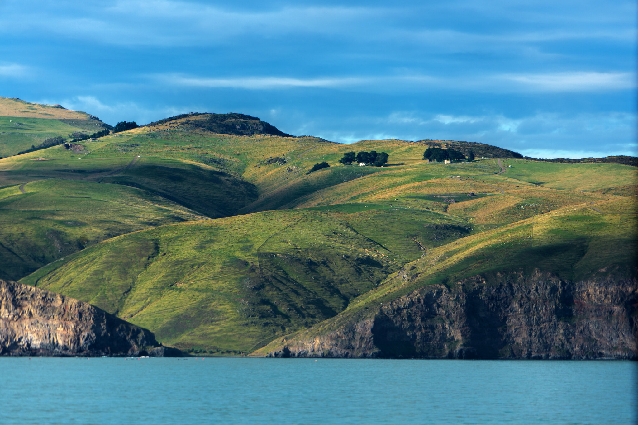 We’re Back on Land in New Zealand