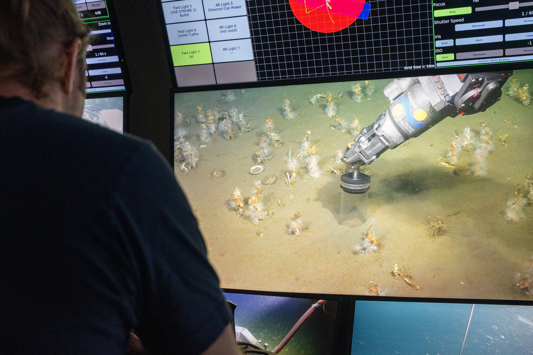 How Microbes Got Their Crawl