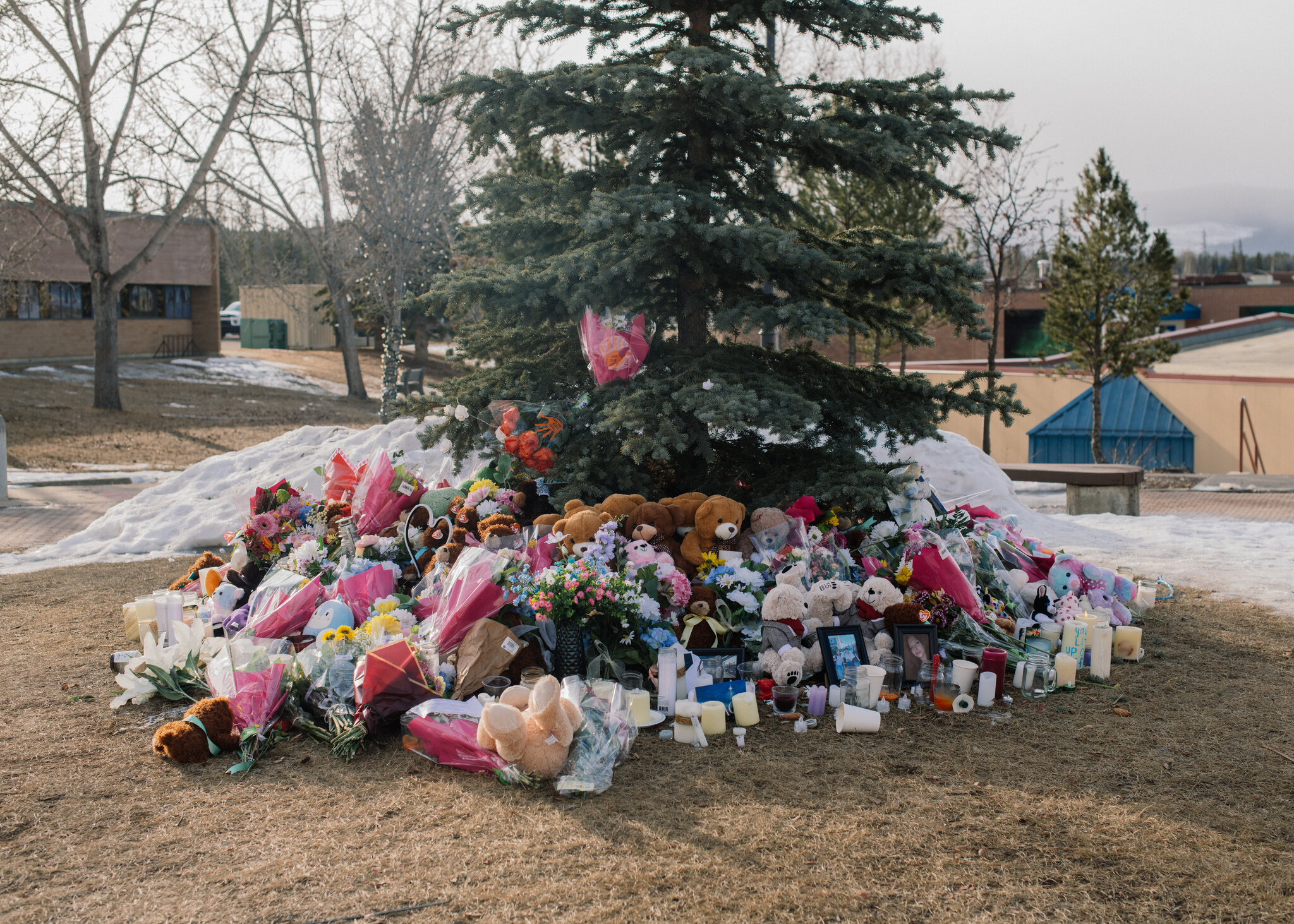 Mother of British Columbia Shooting Victim Sues OpenAI