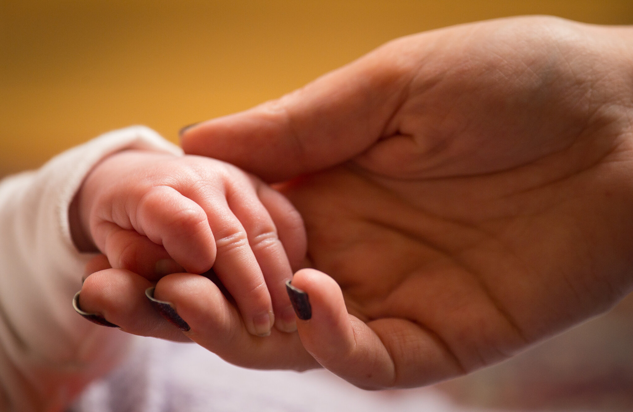 4 Things You Didn’t Know About the Plummeting U.S. Birthrate