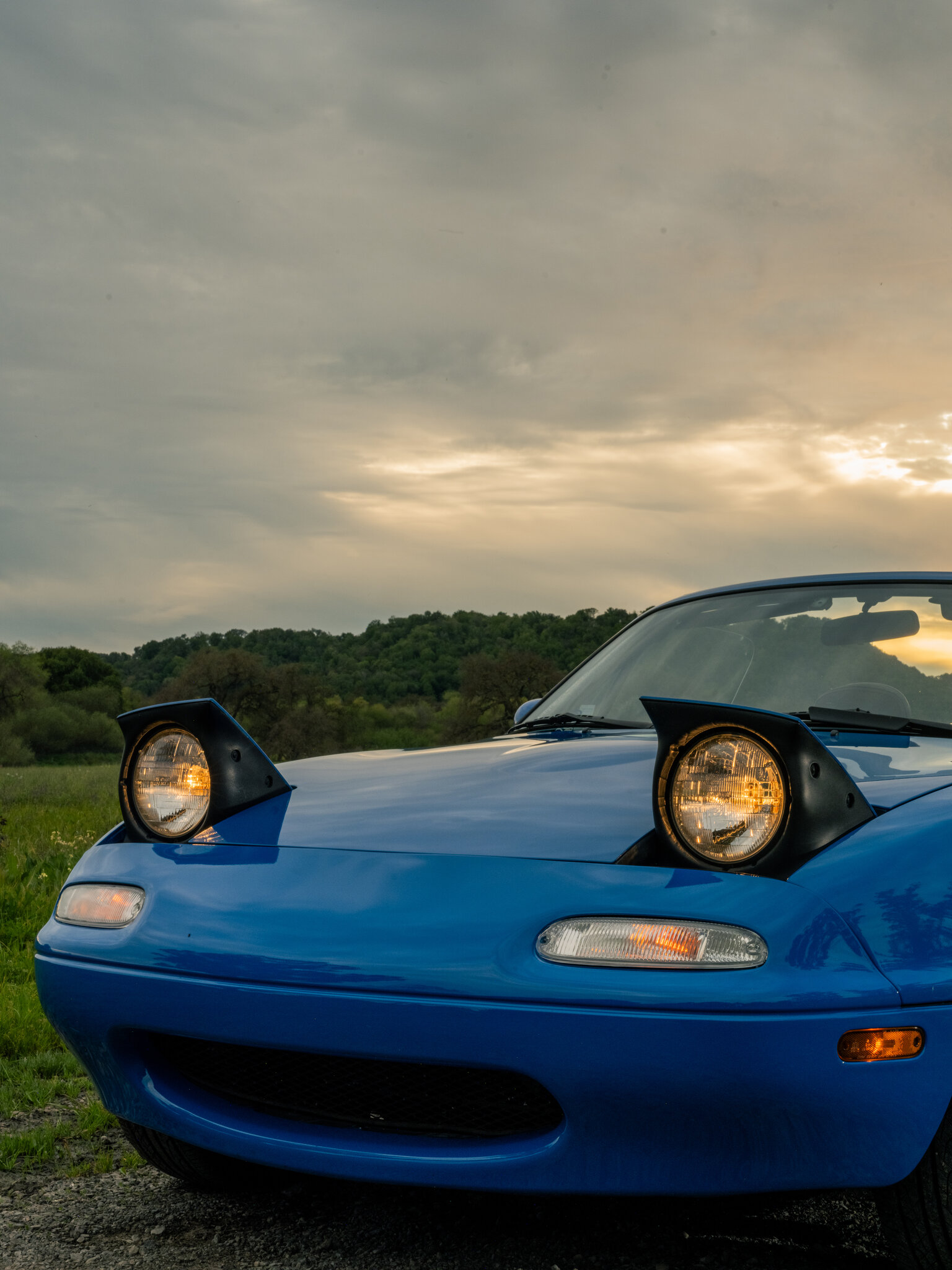 A Wink, a Nod or a Duck: The Secrets Behind Car Owners’ Secret Handshakes