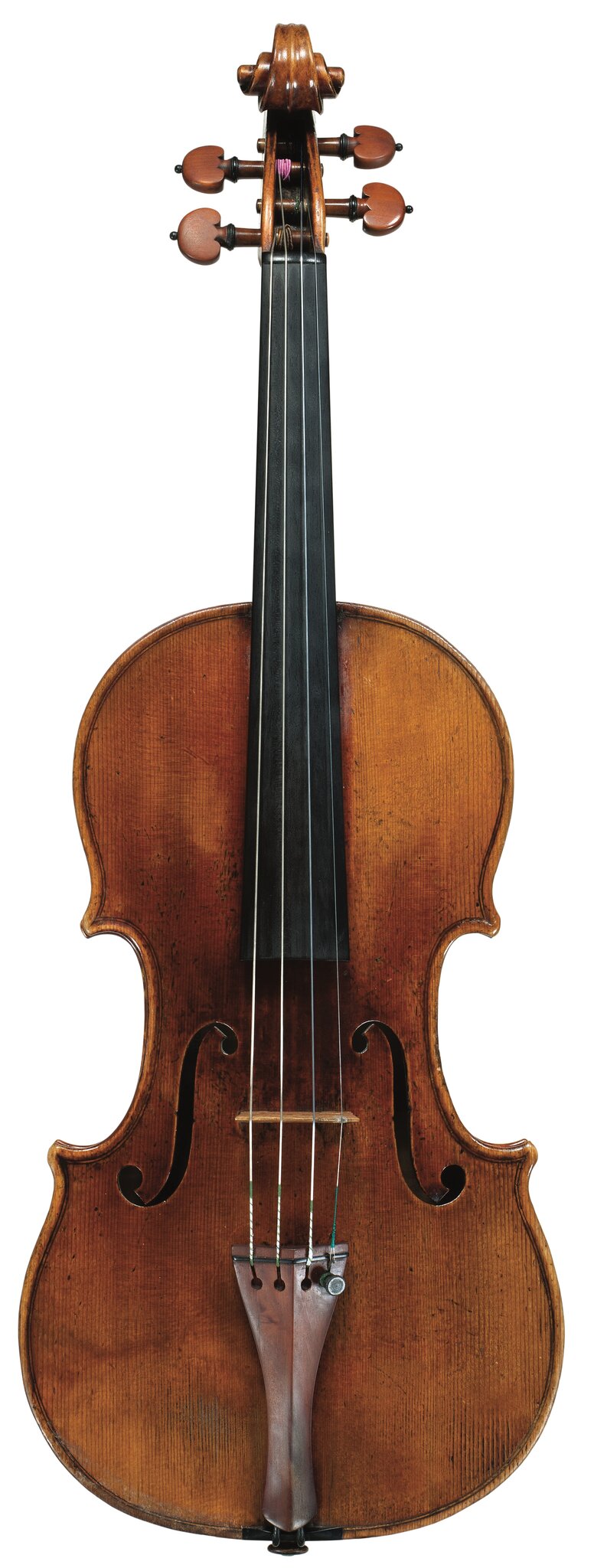 Tree Rings Reveal Origins of Some of the World’s Best Violins
