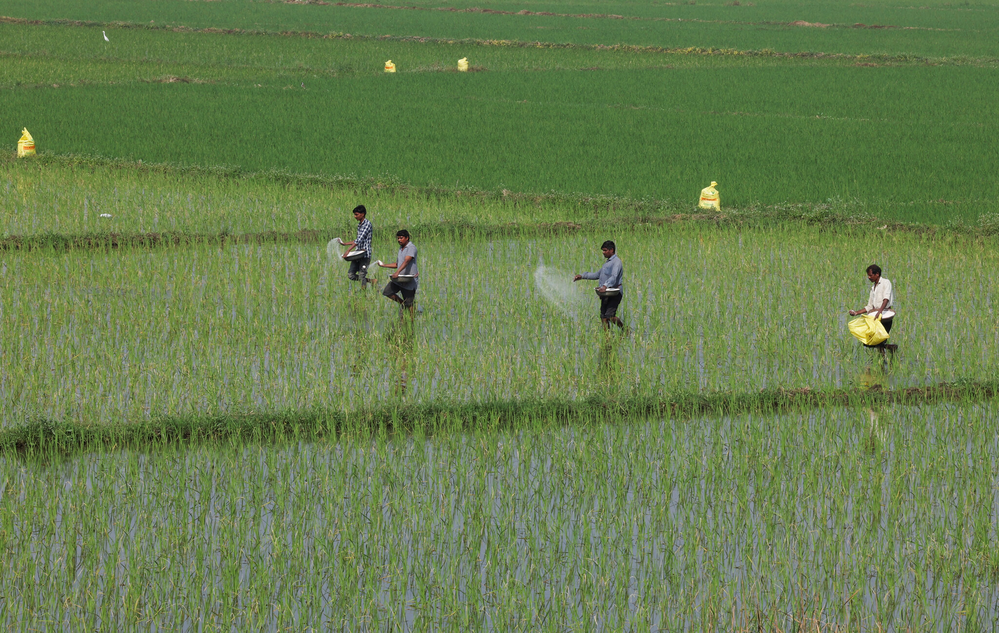 How War in the Middle East Could Sow Hunger