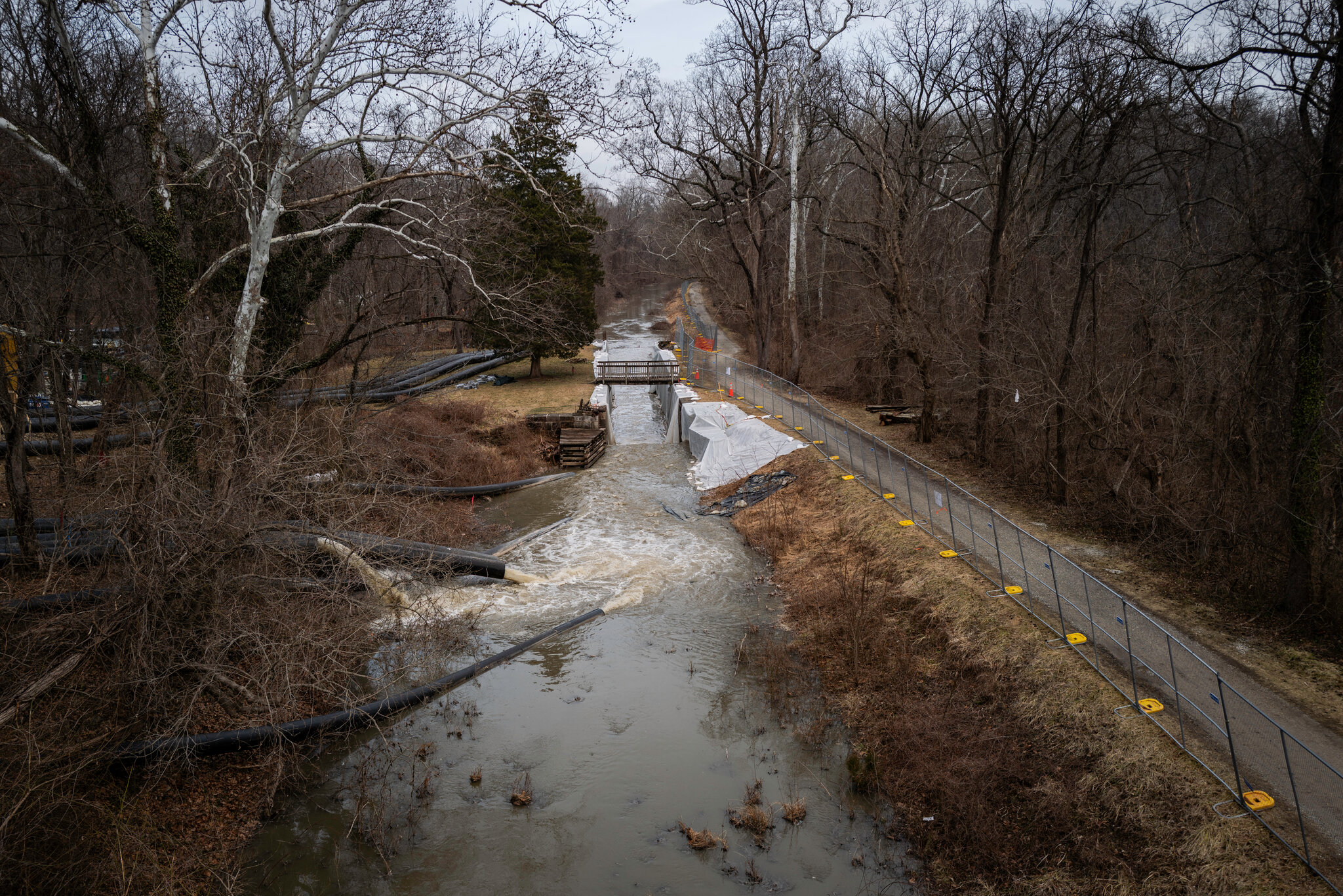 Potomac Is Safe Now, Officials Say. But Locals Still Worry About the Poop.