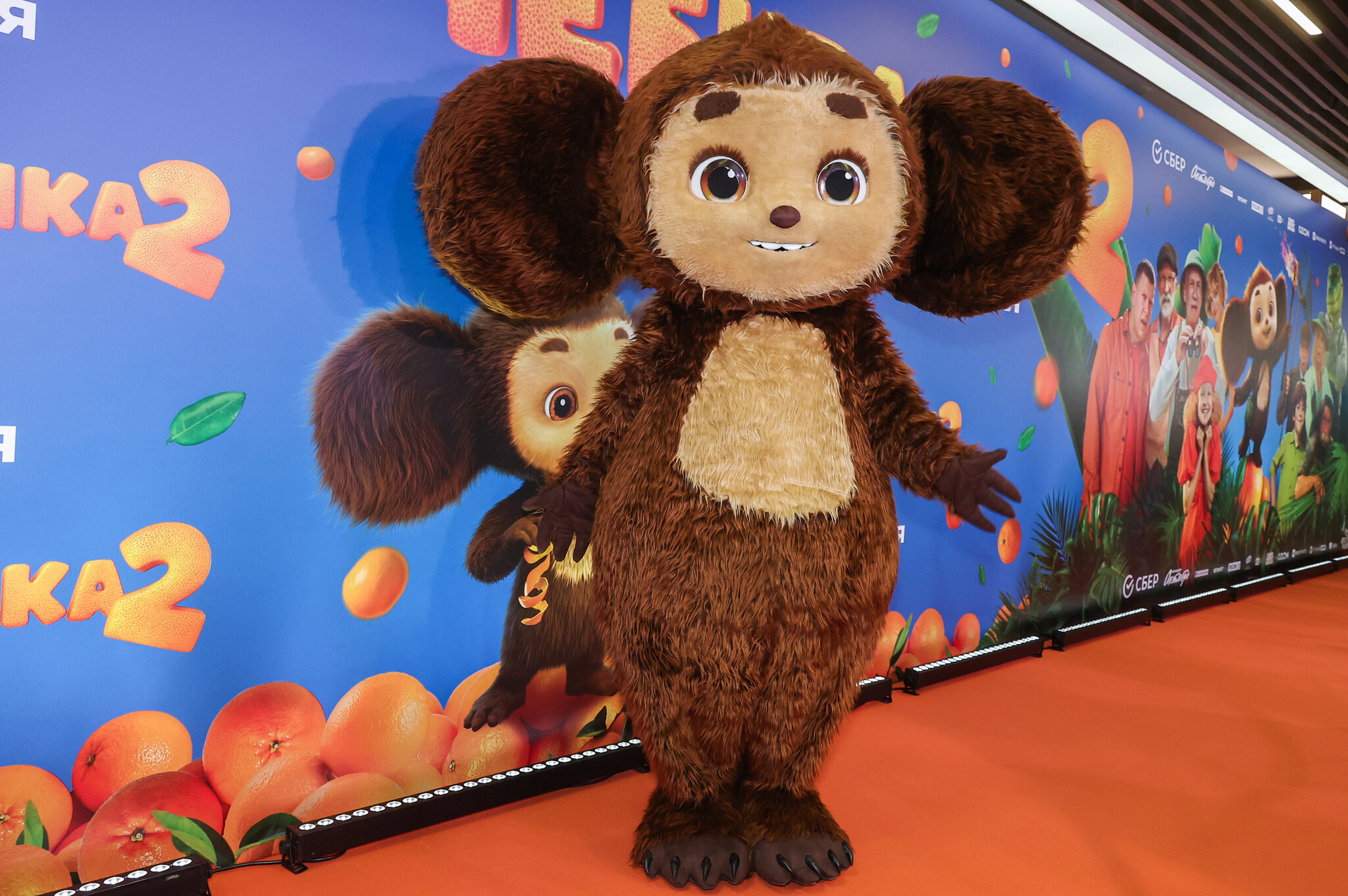 Is This Cuddly, Big-Eared Rascal Leading Russia to Ruin?