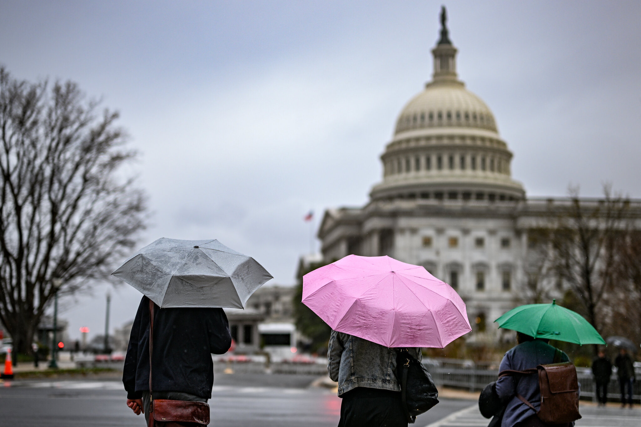 It Was 86. Then It Snowed. A ‘Wild’ Weather Shift Jolts the Mid-Atlantic.