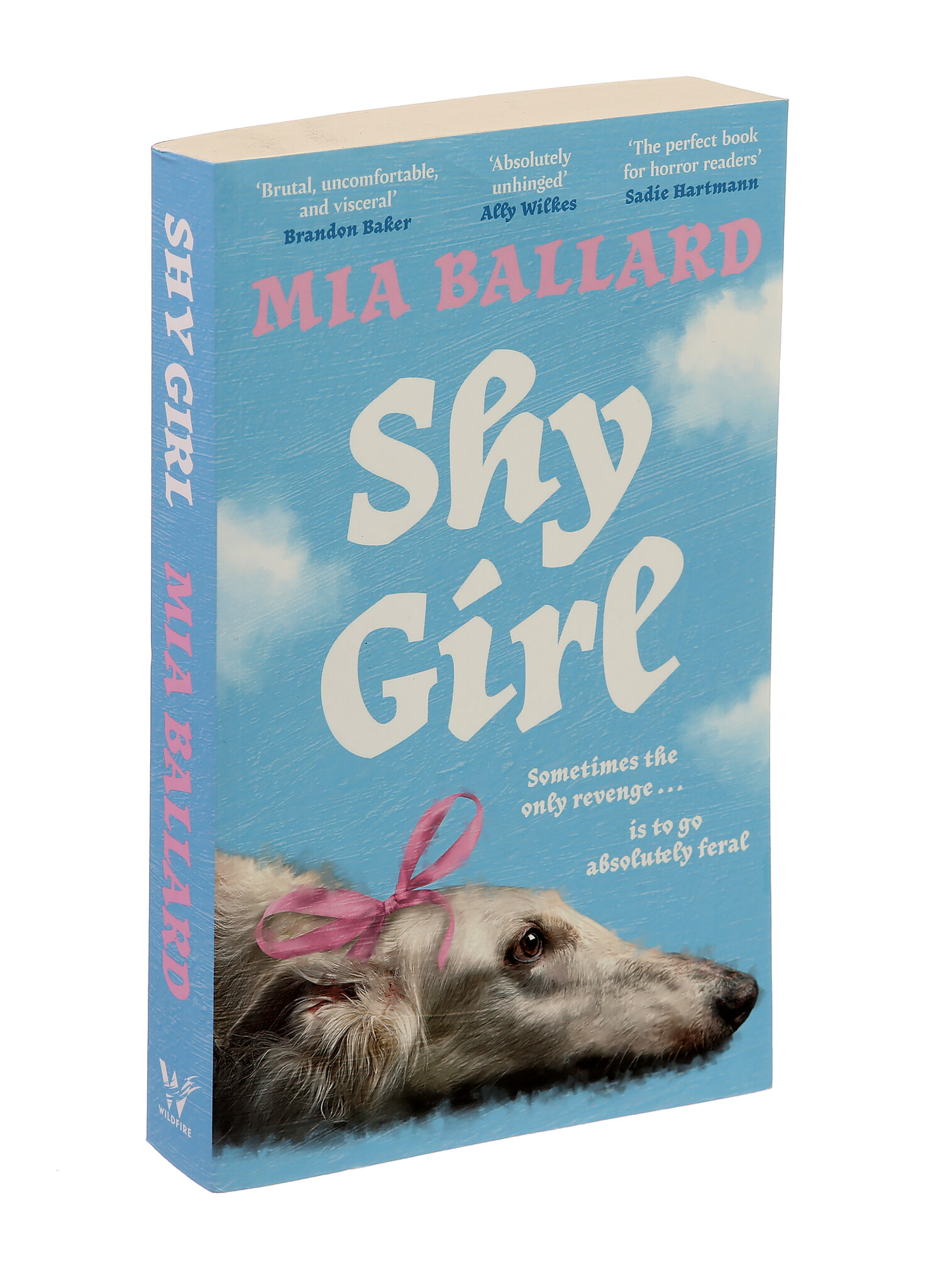 Horror Novel ‘Shy Girl’ Canceled Over Suspected A.I. Use