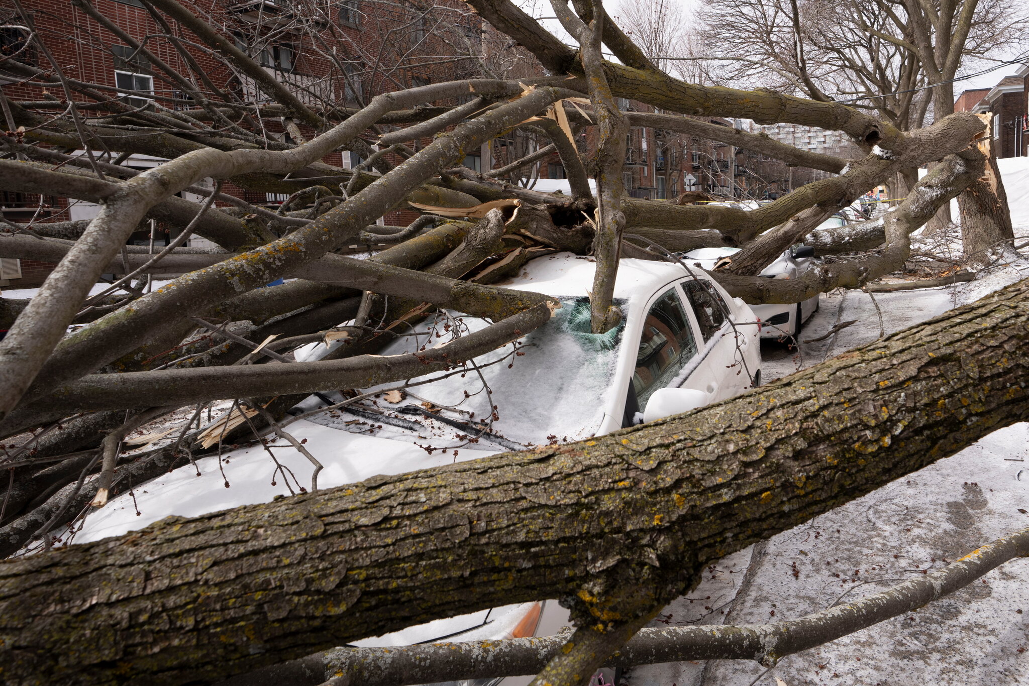 The Weather Is Getting Wilder, and Some See a Dire Signal in the Data
