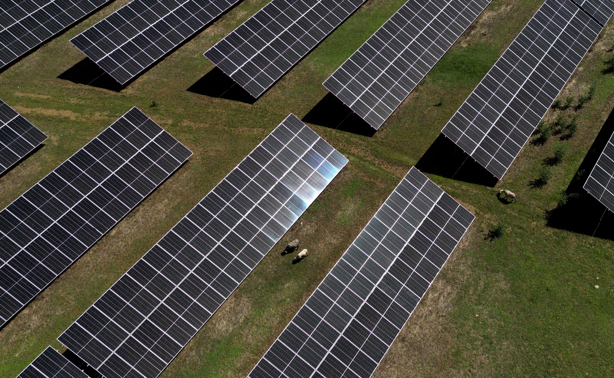 Spain Says the Sun Shields It From Rising Gas Costs. Is That True?