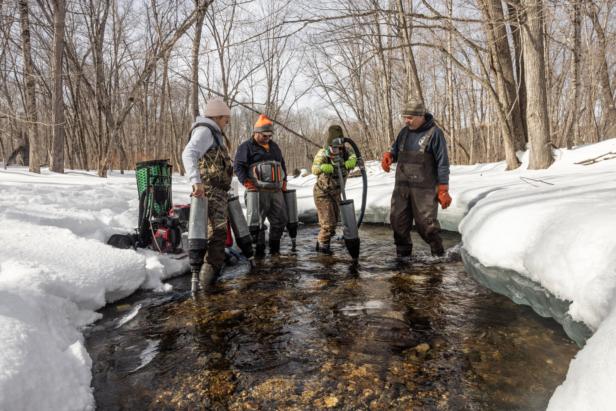 The Fragile Hope for Salmon Recovery in Maine