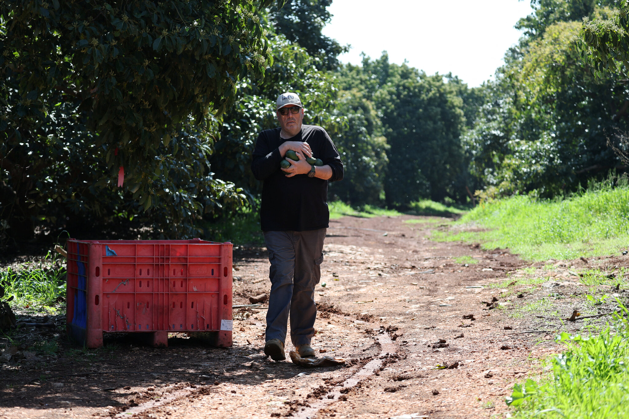 Israel Says Its Own Artillery Killed a Farmer, Not a Hezbollah Rocket