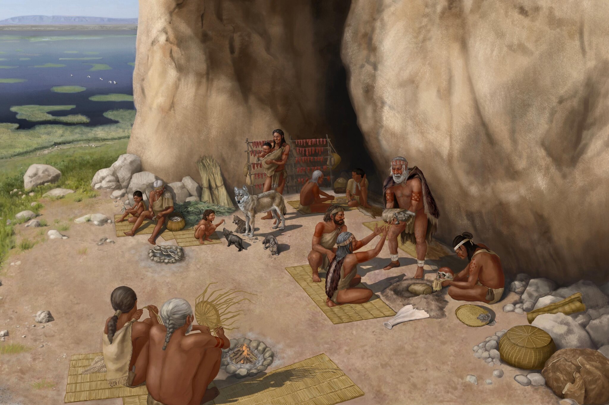 Humans Had Dogs Before They Had Farming, Ancient DNA Confirms