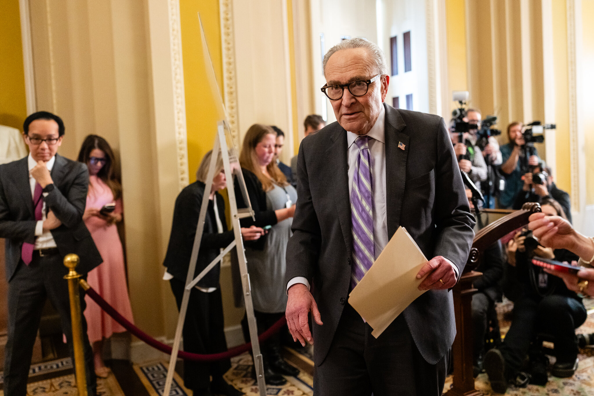 Schumer Says Democrats Will Try to Restore Clean Energy Tax Credits