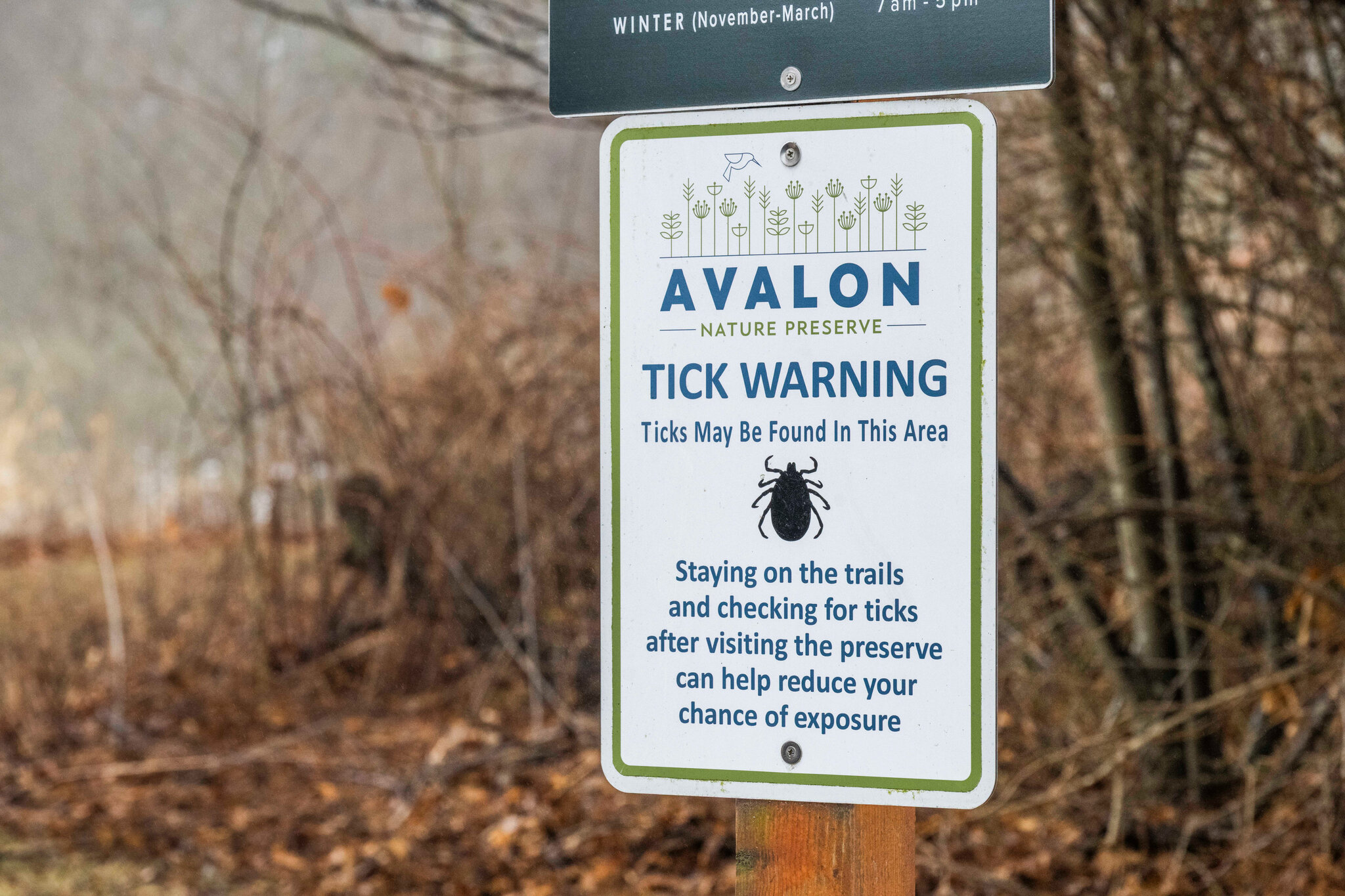 What to Know About Alpha-Gal Syndrome, a Meat Allergy Linked to Ticks