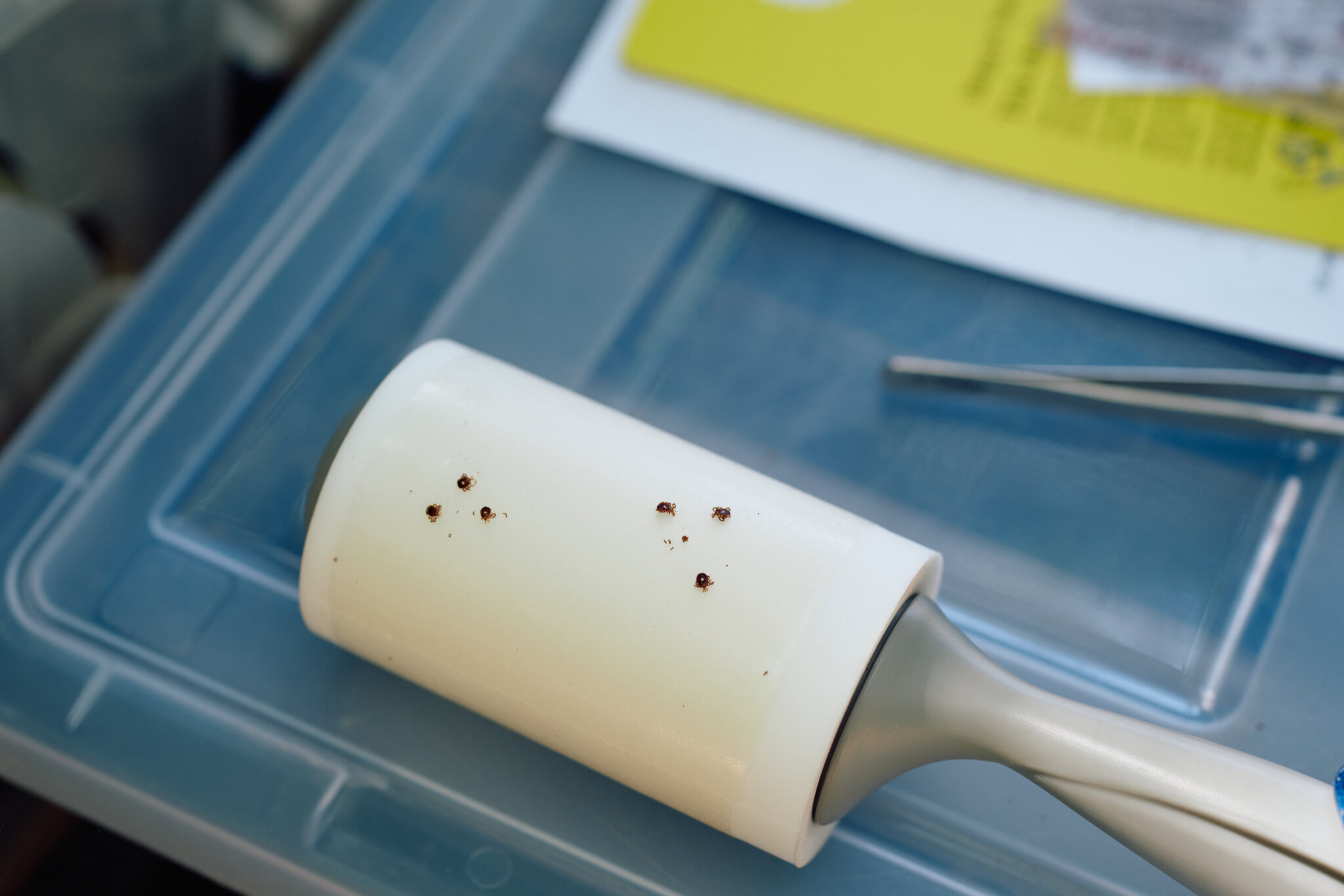 It Begins as a Tick Bite and Can Be Devastating. And It’s Spreading.