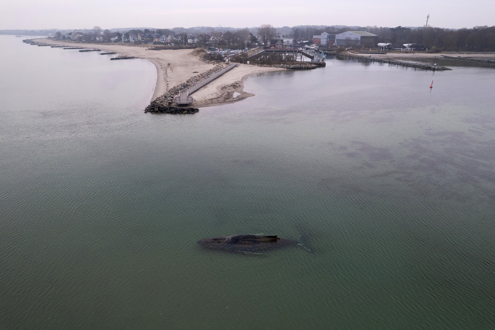 Rescuers Race to Save 32-Foot Humpback Whale Stranded Off German Beach