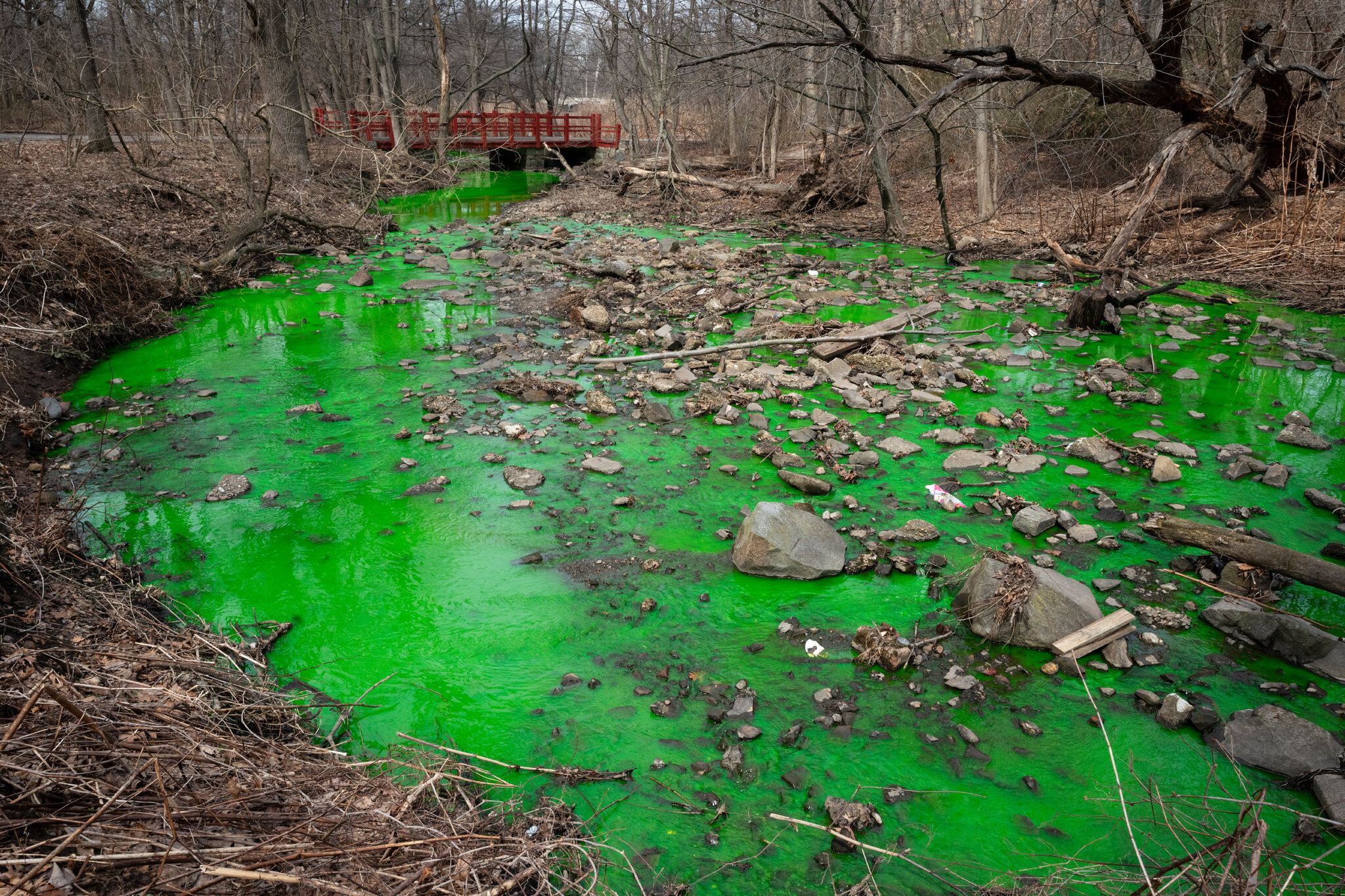 The Disgusting Reason a Staten Island Creek Turned Bright Green