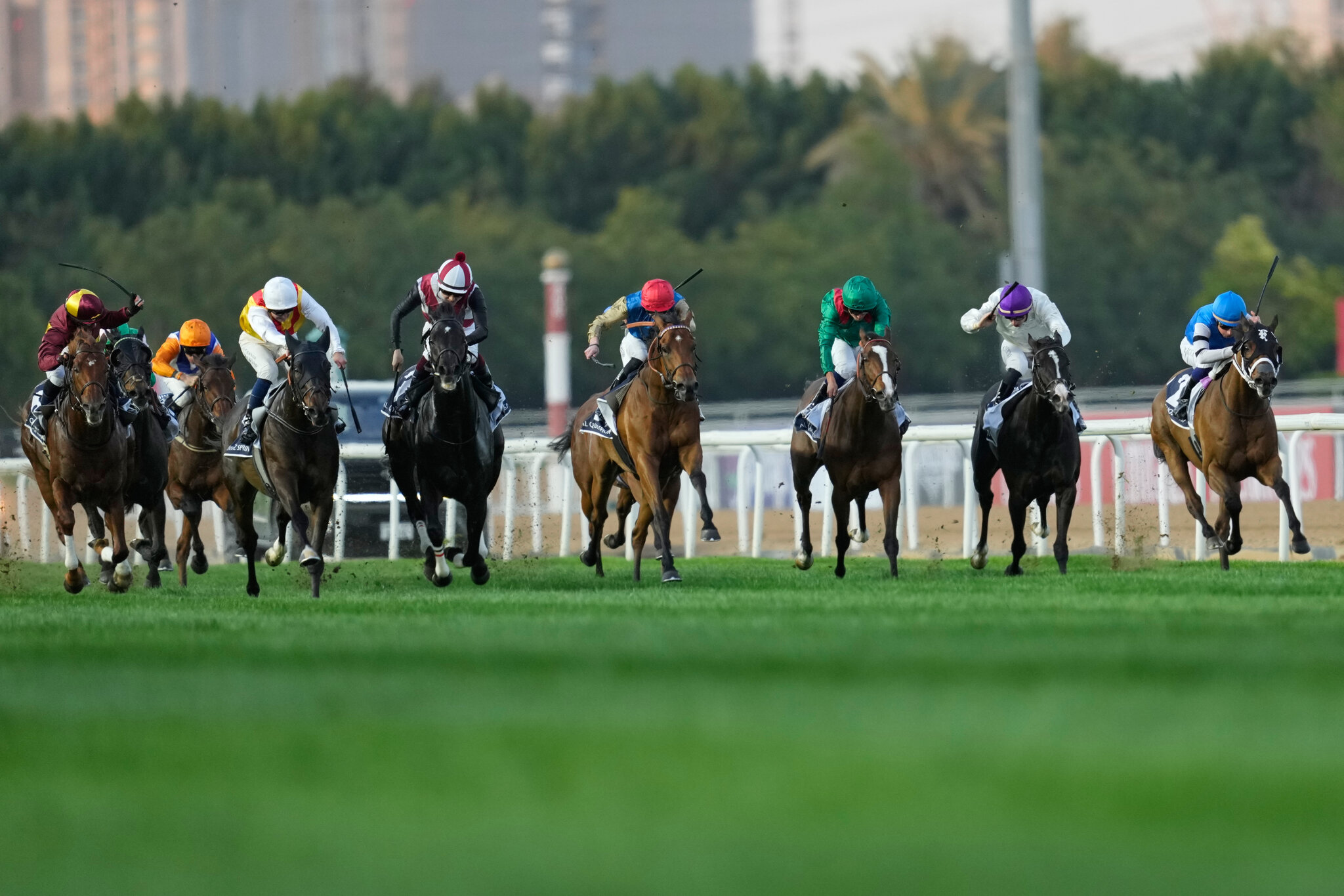 In Dubai, a famed horse race goes on, despite the war.