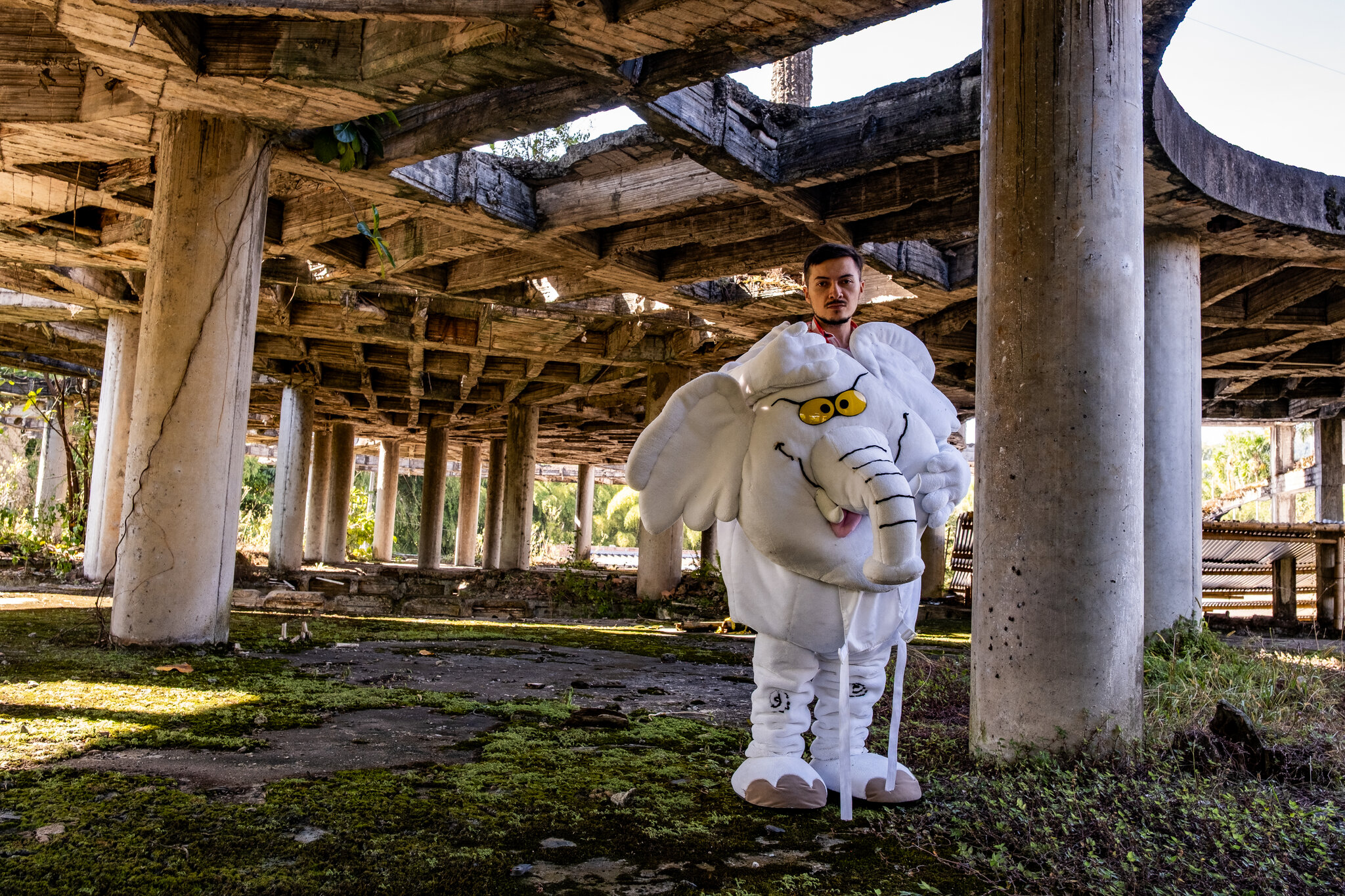 He Rode an Elephant Costume Into Colombia’s Senate