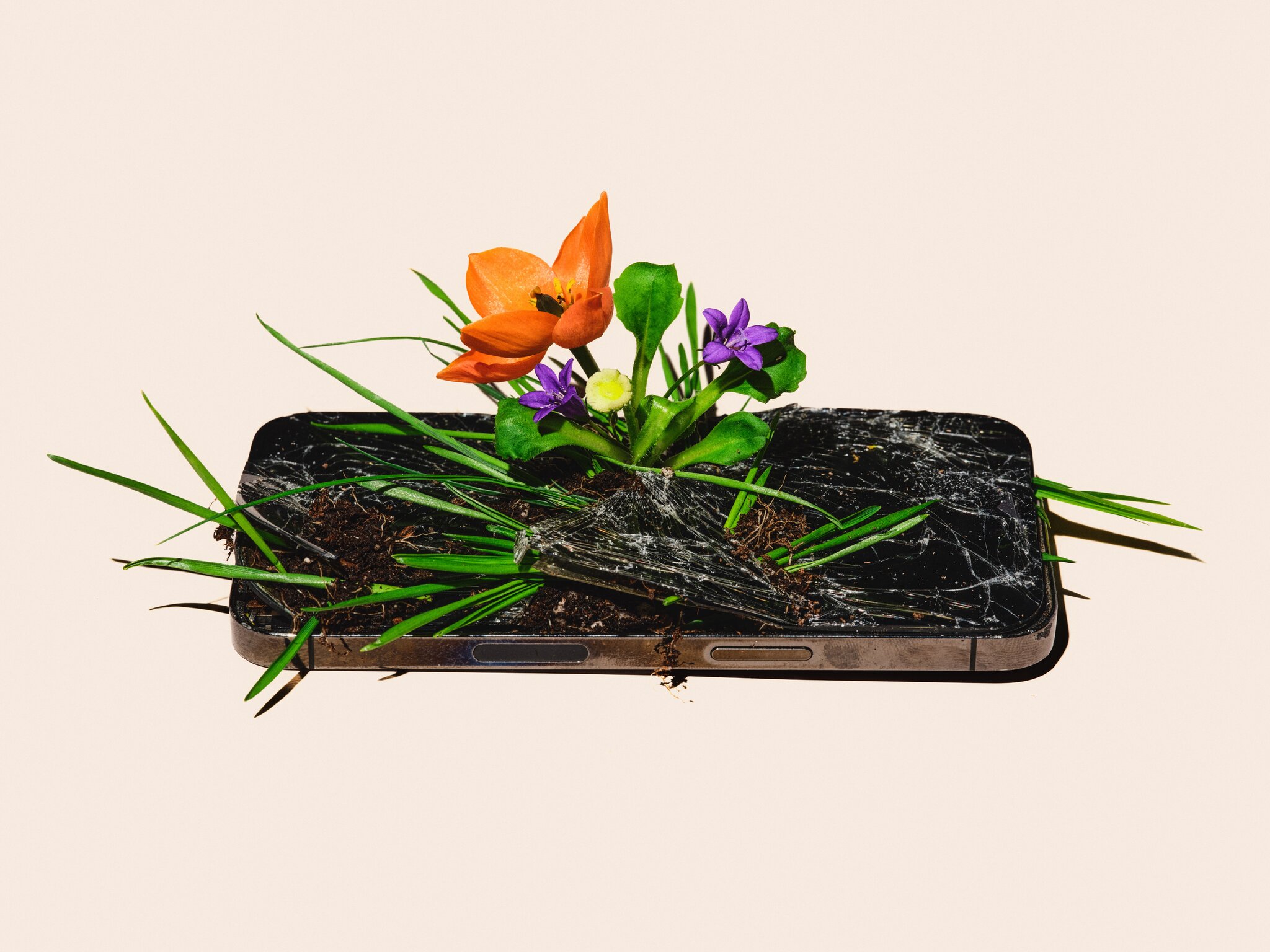 Is There Life After Smartphones?