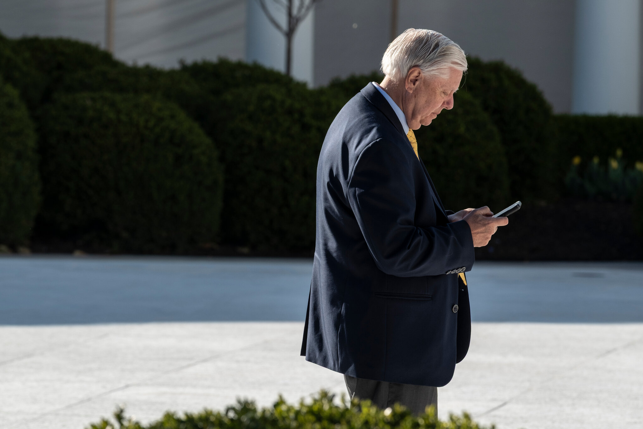 TMZ Sics Its Tipsters on a New Breed of Celebrity Villain: Members of Congress