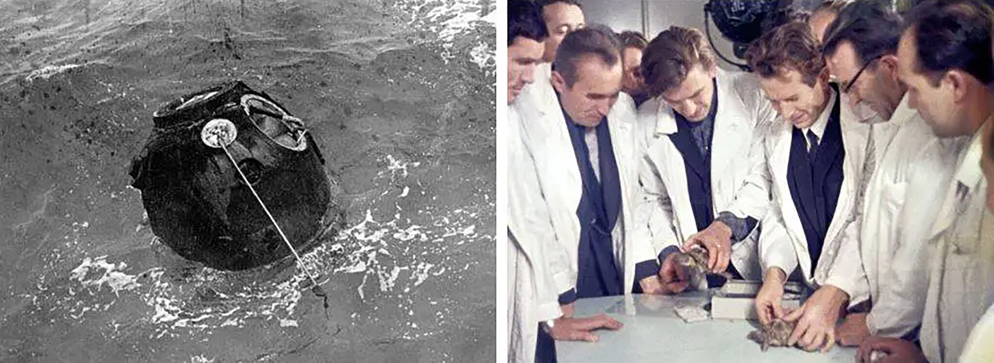 The first earthlings to the moon weren’t humans. They were tortoises.