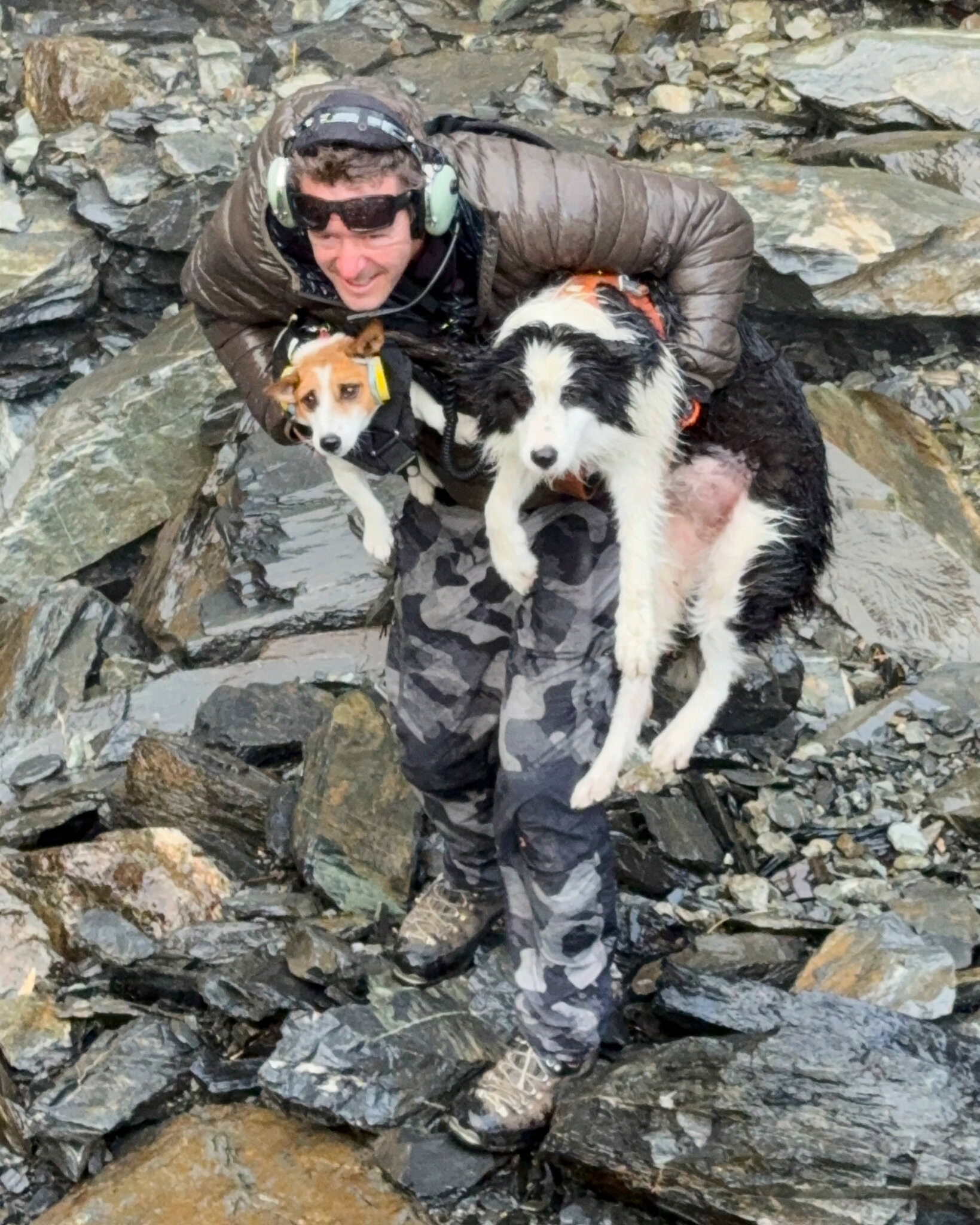 Volunteers in Helicopter Rescue Hiker’s Dog After a Week in the Wilderness