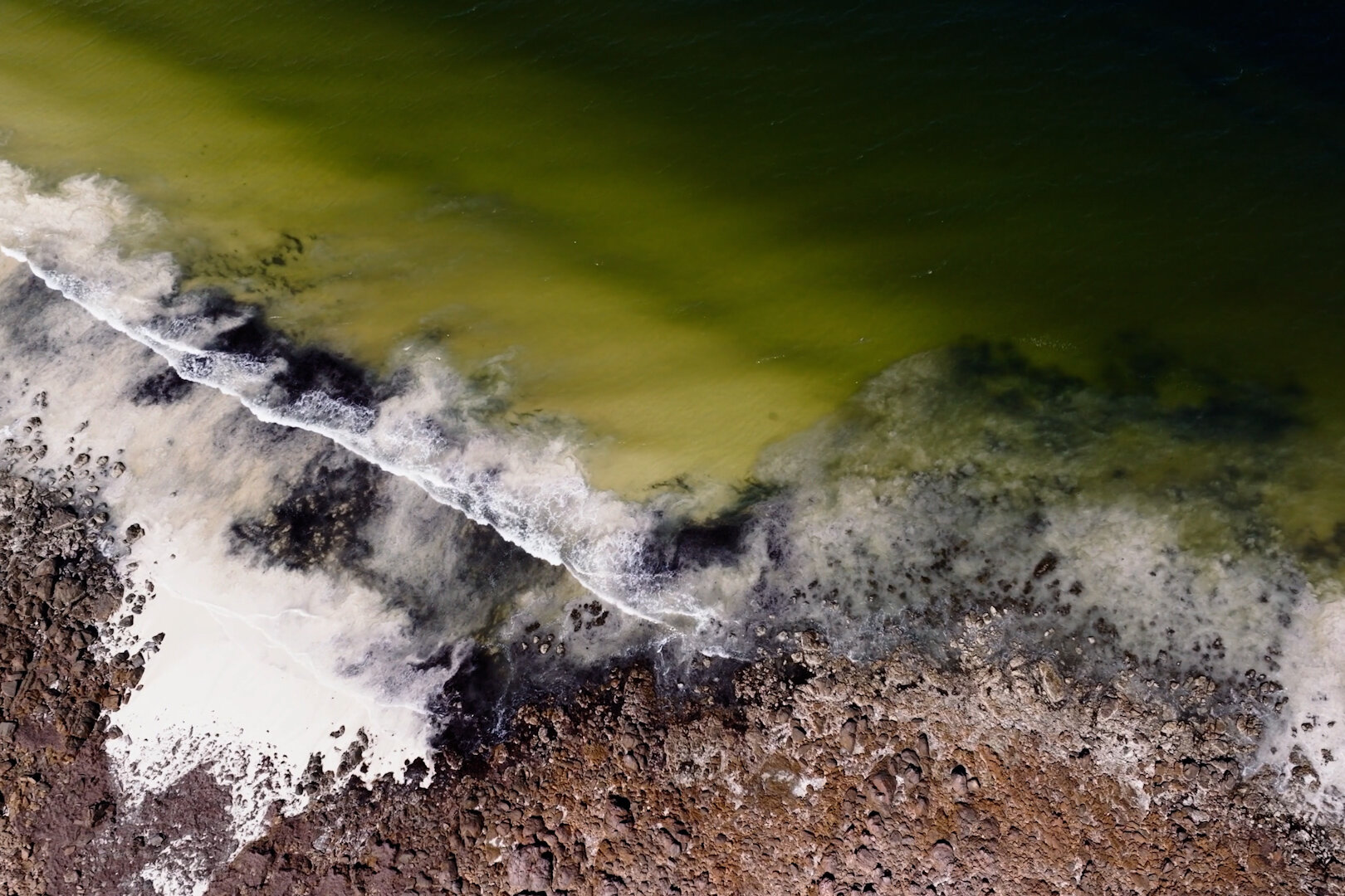 An Underwater Phantom Is Killing Fish and Breaking Hearts