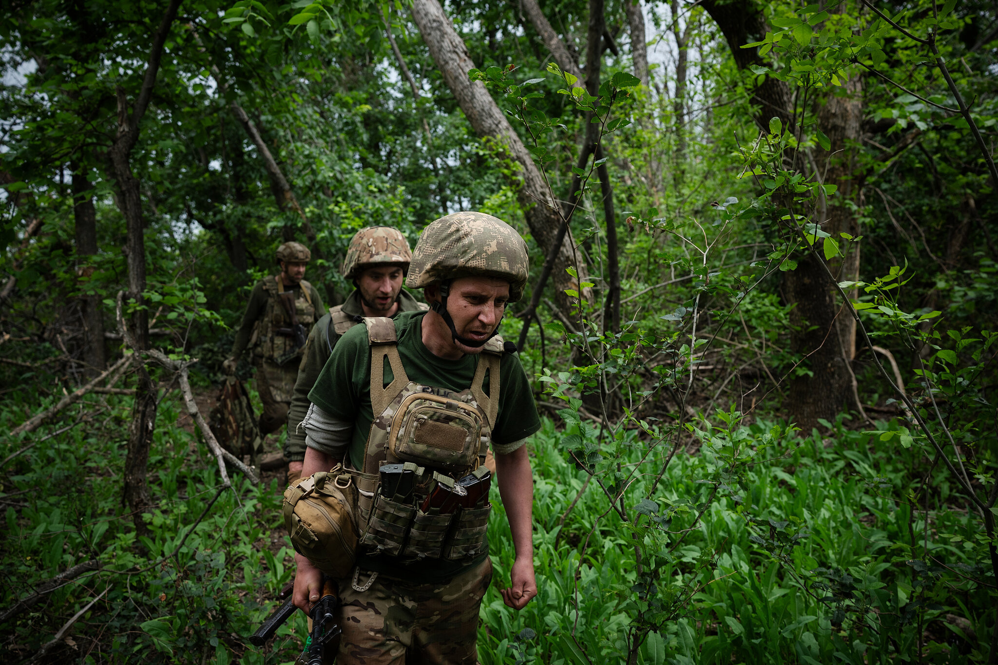 A Crucial Weapon in Russia’s Spring Offensive: Leafy Trees