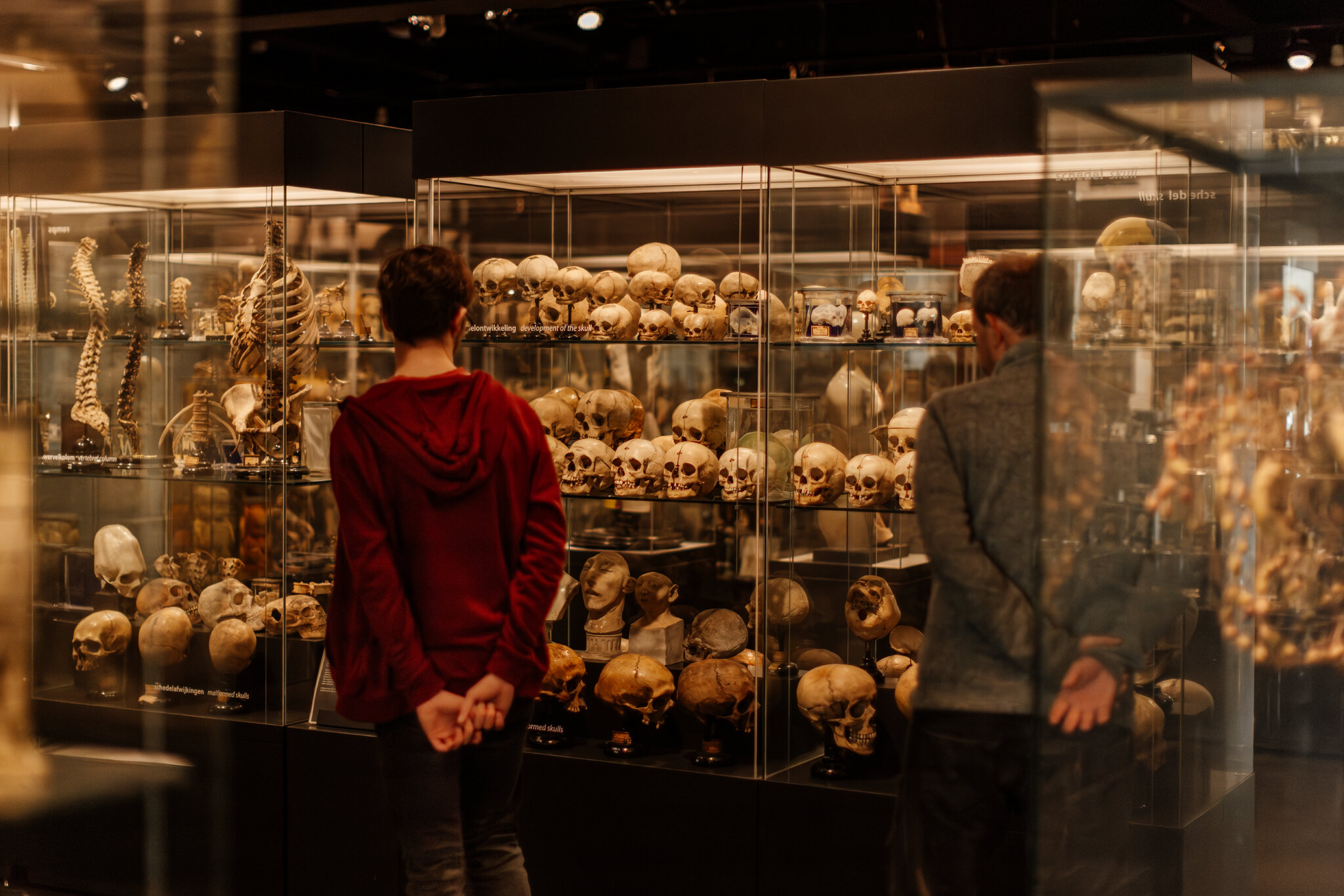 Europe’s Museums Confront the (Literal) Skeletons in Their Closets