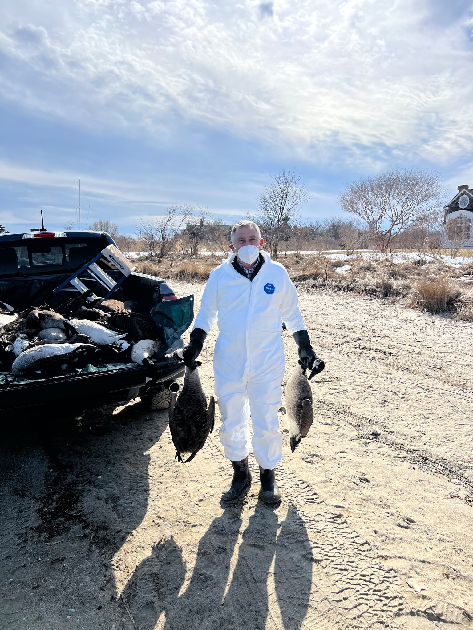 The Hamptons Has a Bird Flu Problem