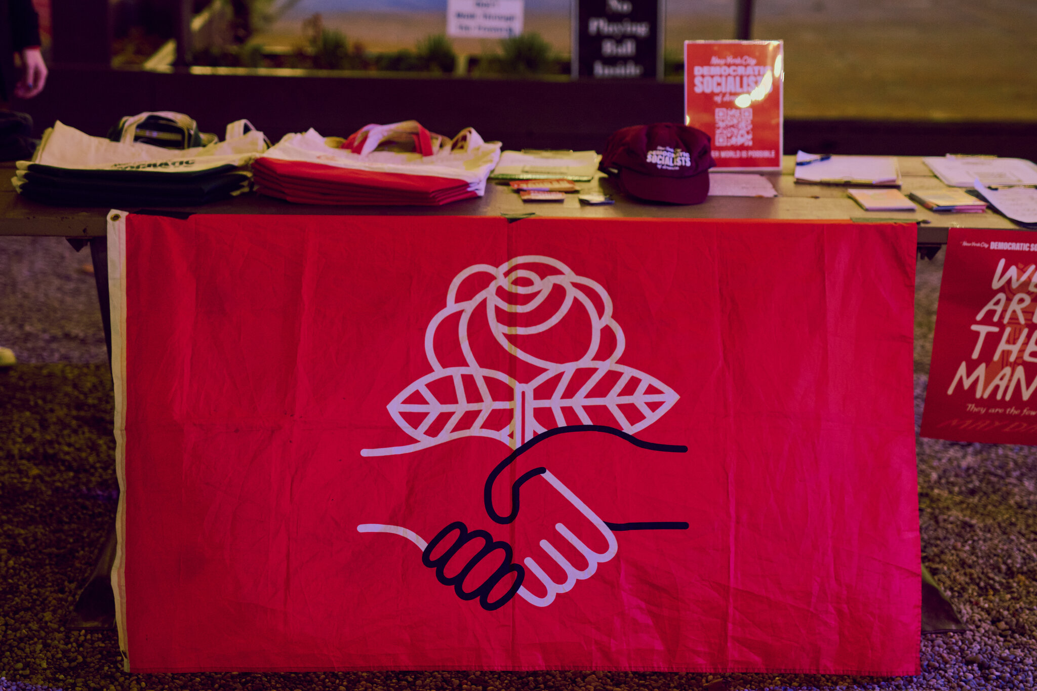 Democratic Socialists Win Court Battle as Elections Near