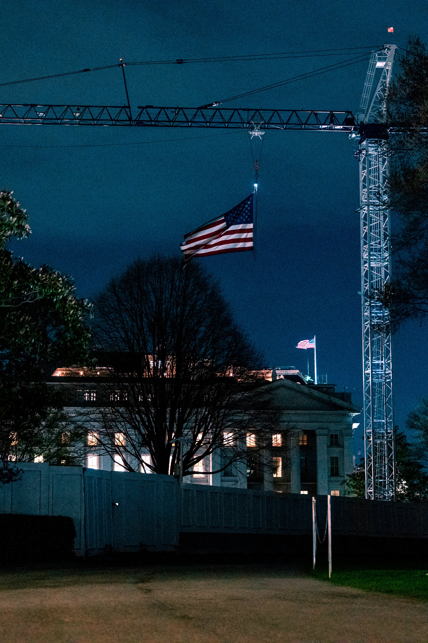 National Security. Artificial Intelligence. And Your Dumb Dog.