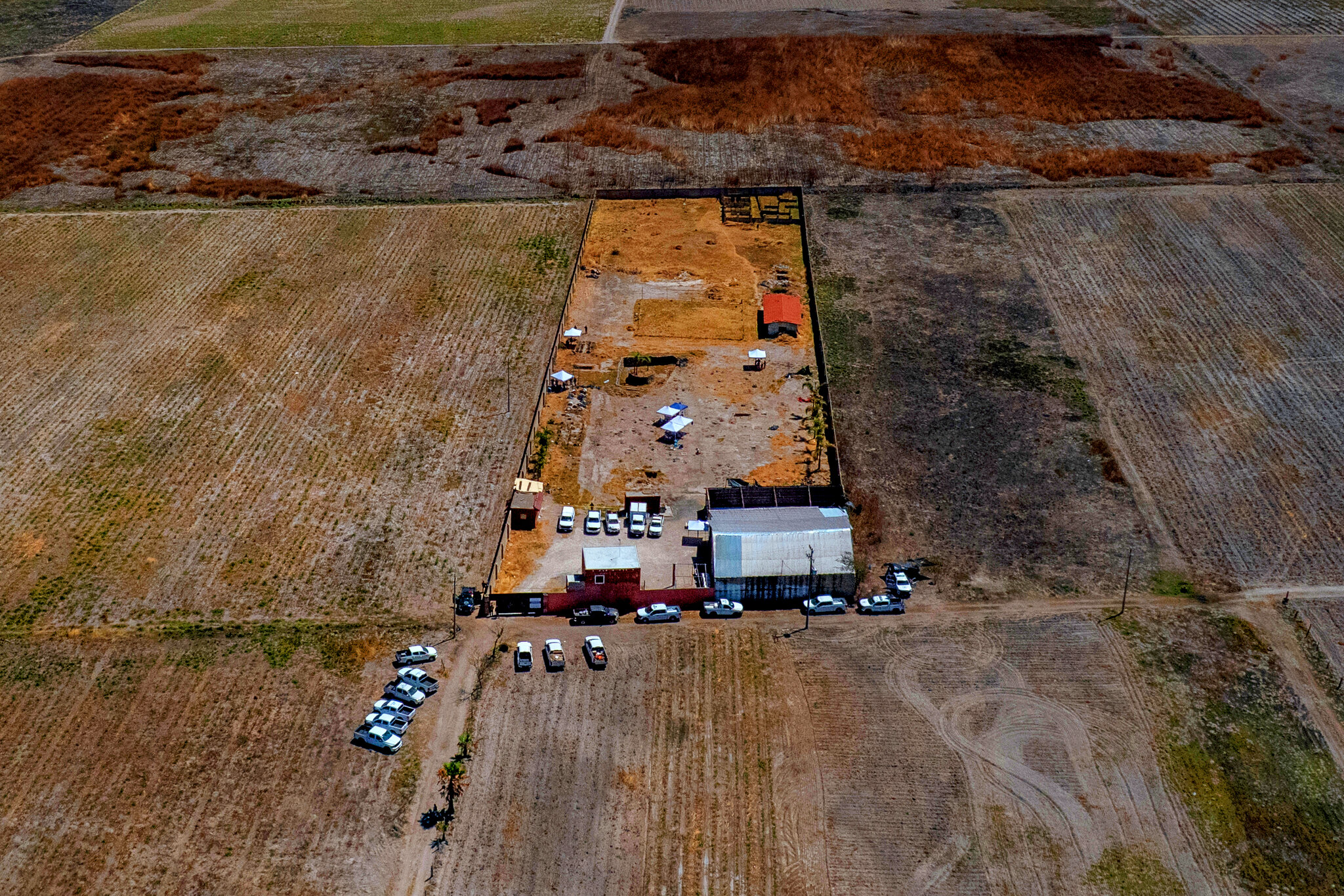 Sheinbaum’s War on Crime Faces a Grim Reckoning: 133,000 Missing