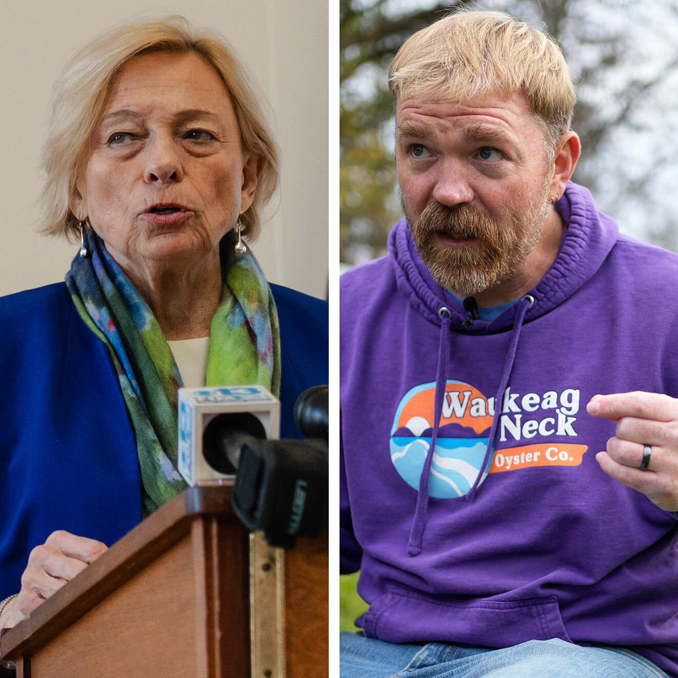 What You Taught Me About Maine