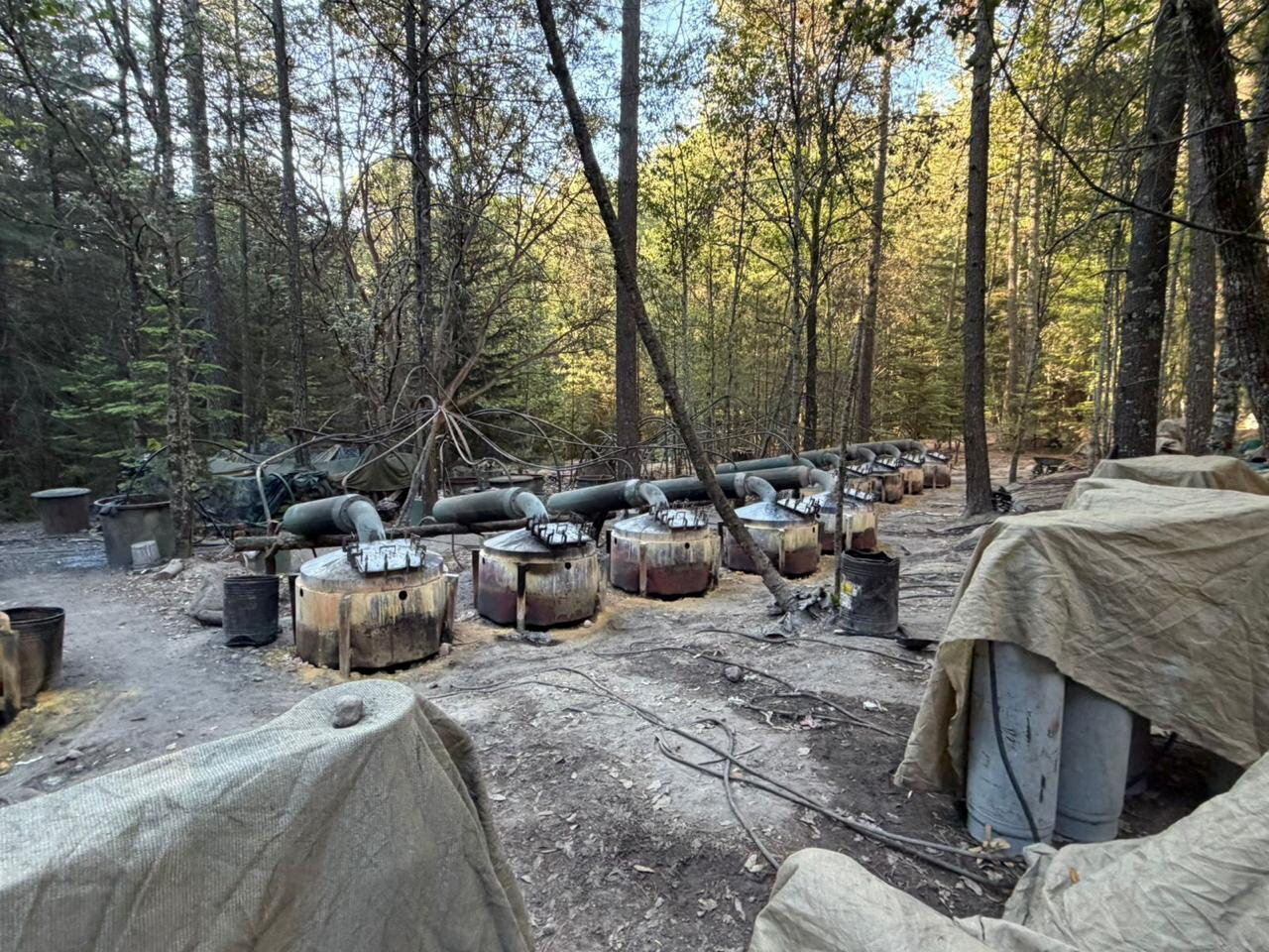 4 Drug Lab Investigators Die in Car Crash in Mexico