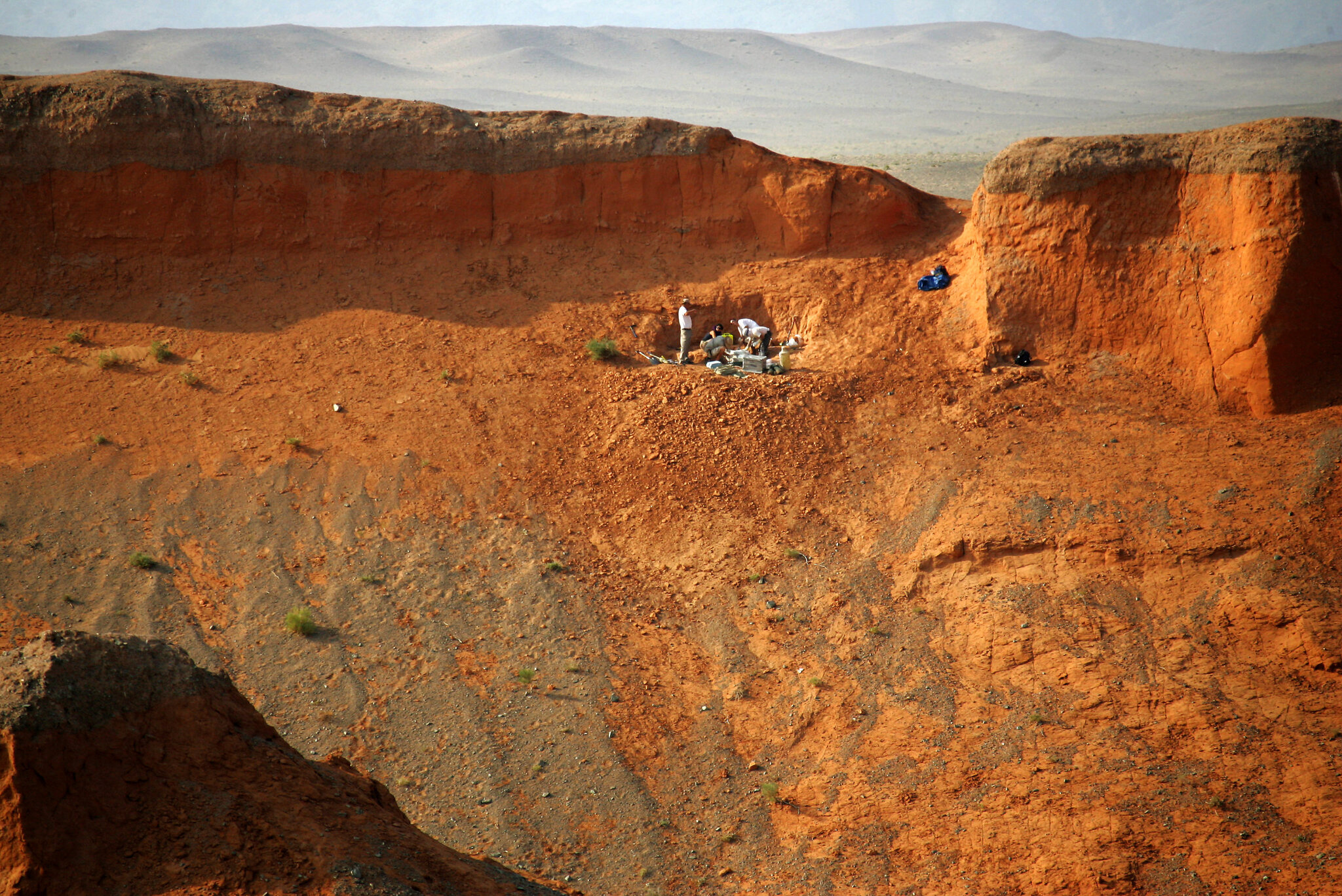 A New York Museum Honors Its Real-Life ‘Indiana Jones’ Dinosaur Hunters