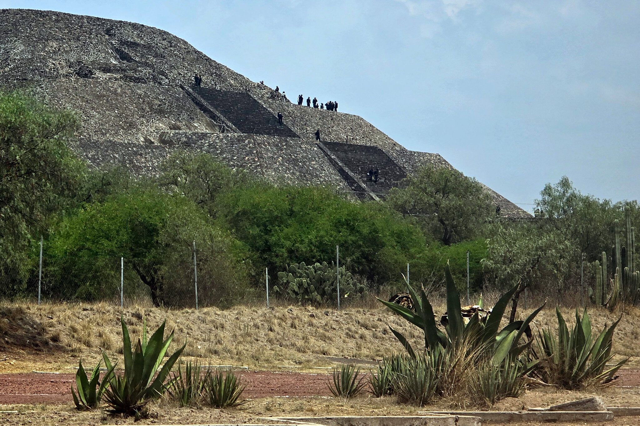 Gunman Kills Canadian Tourist and Wounds Others at Mexico’s Teotihuacán Pyramids