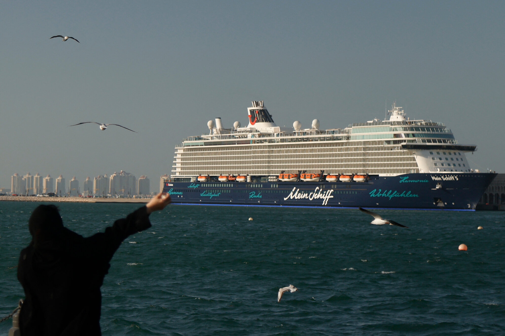 2 Cruise Ships Exit Strait of Hormuz After Being Stranded for Weeks