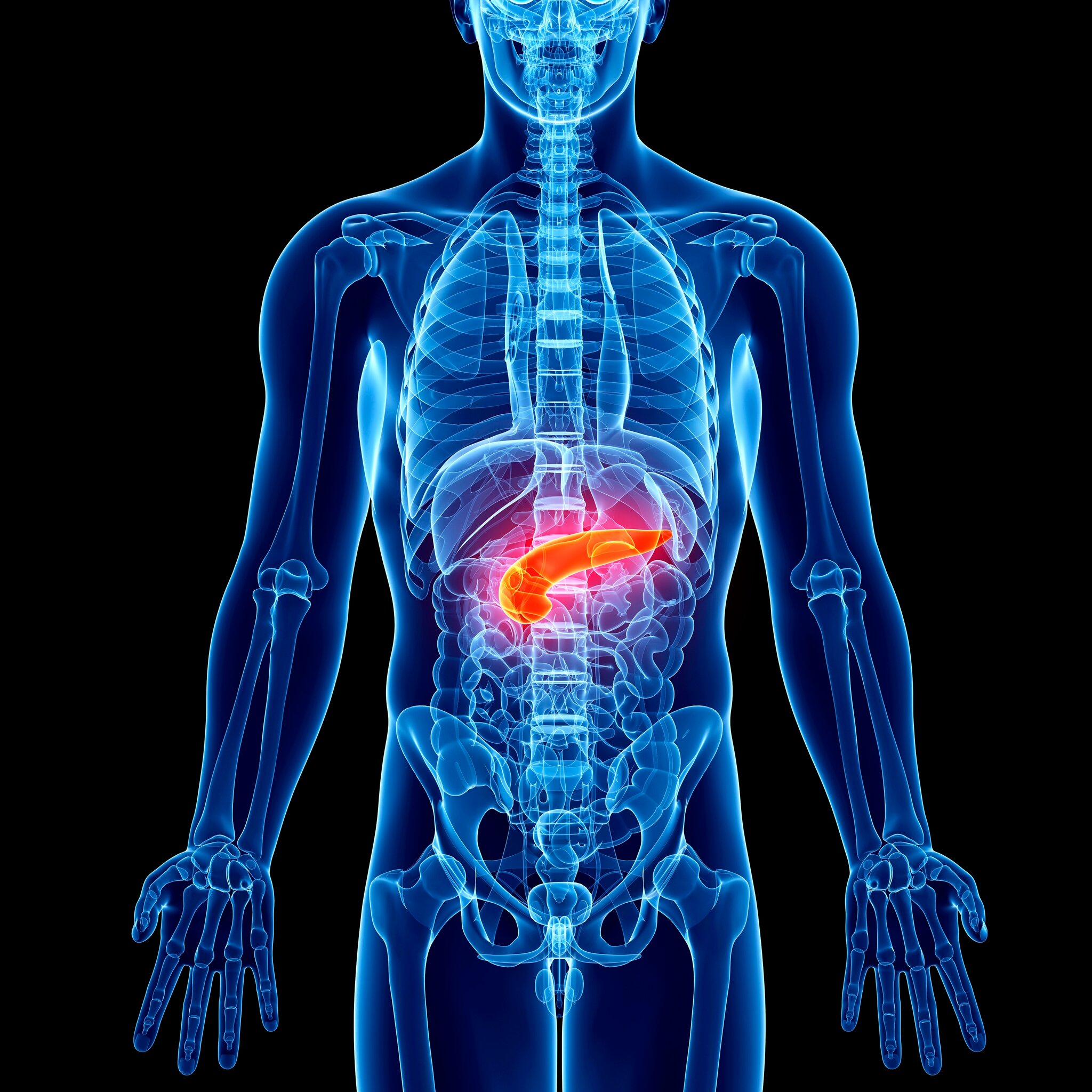 Two Drugs Stir Hope for Treatment of Deadly Pancreatic Cancer