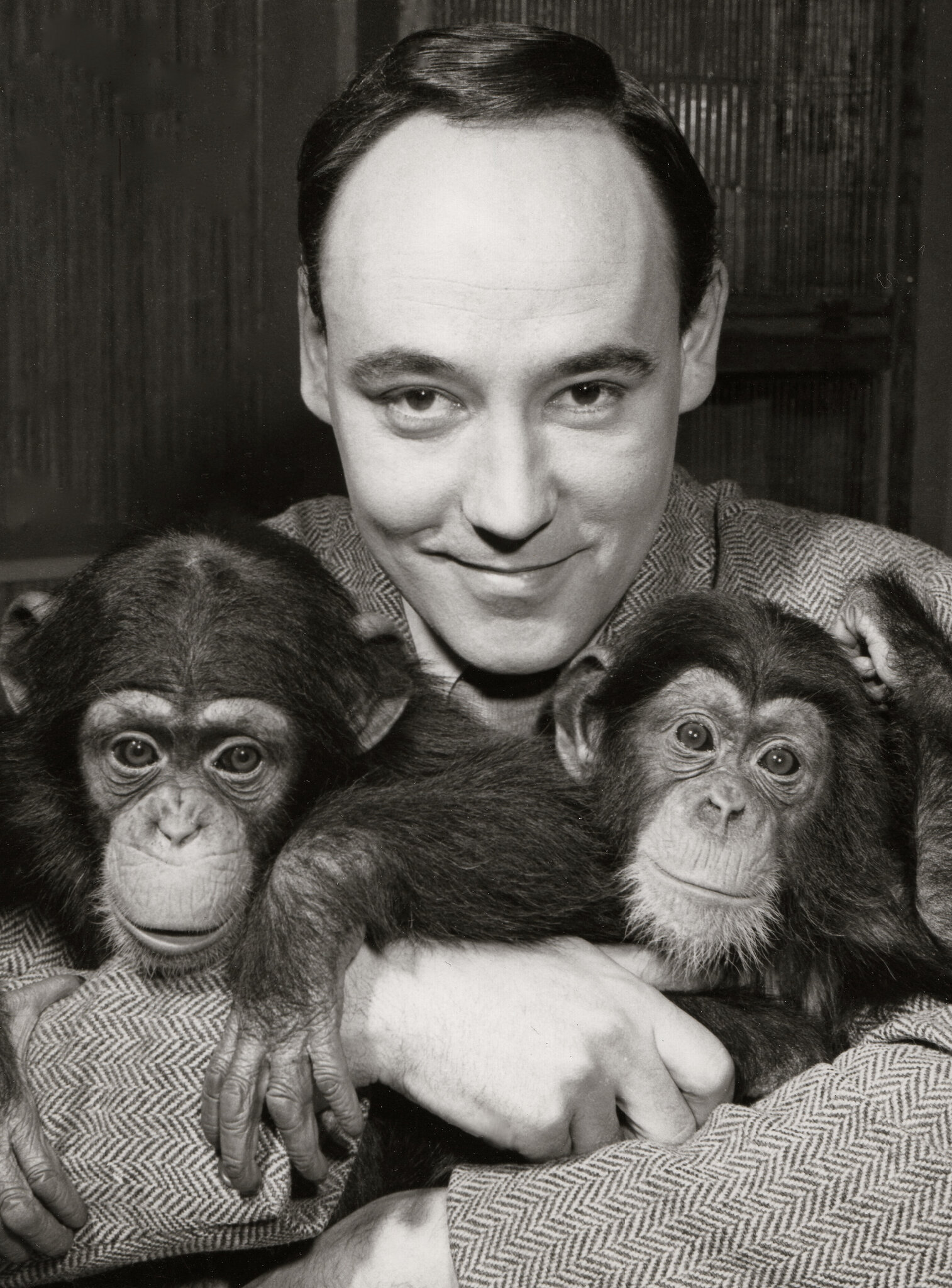 Desmond Morris, 98, Dies; Zoologist Saw Links Between Humans and Apes