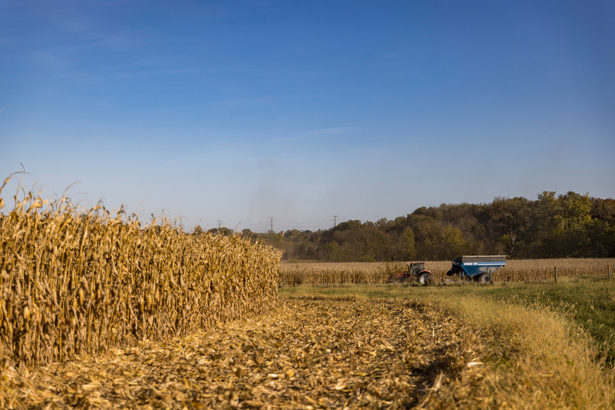 Crop Undercount Raises Questions About Reliability of U.S.D.A. Data