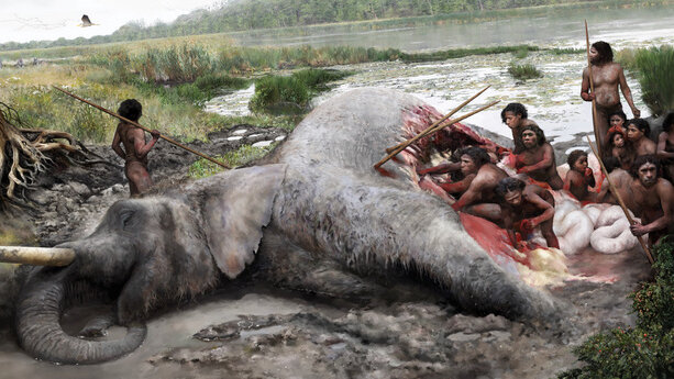 Were Neanderthals Able to Hunt Elephants? The Proof Is in an Ancient Bone