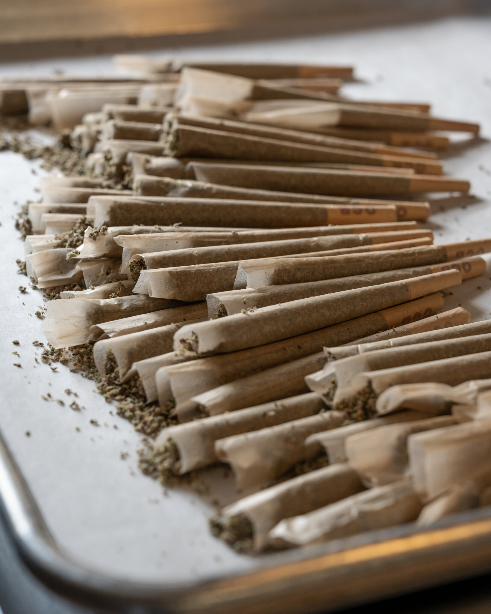 Trump Administration Loosens Restrictions on Medical Marijuana