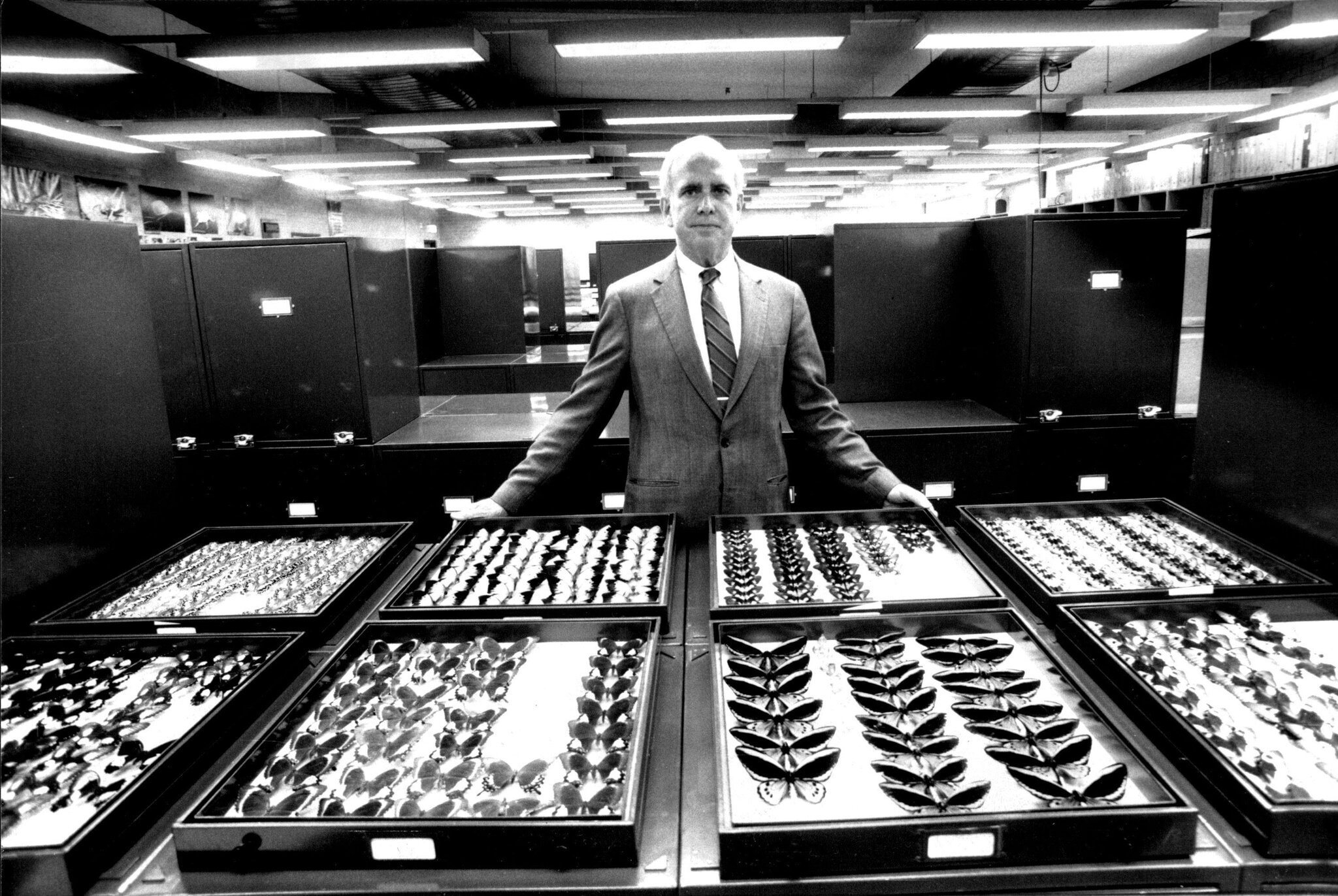 Peter Raven Dies at 89; Botanist Warned of Perils of Climate Change