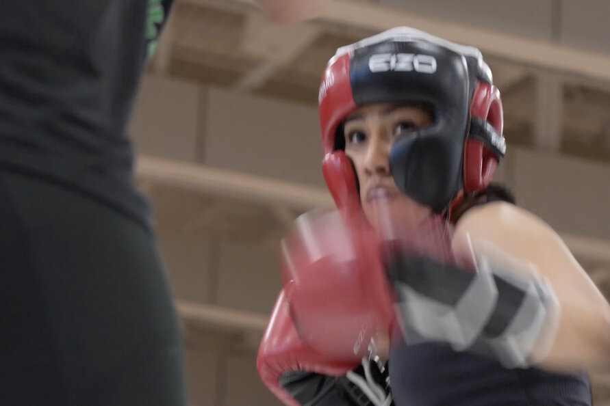 The New Harvard Trend? Getting Punched in the Face.